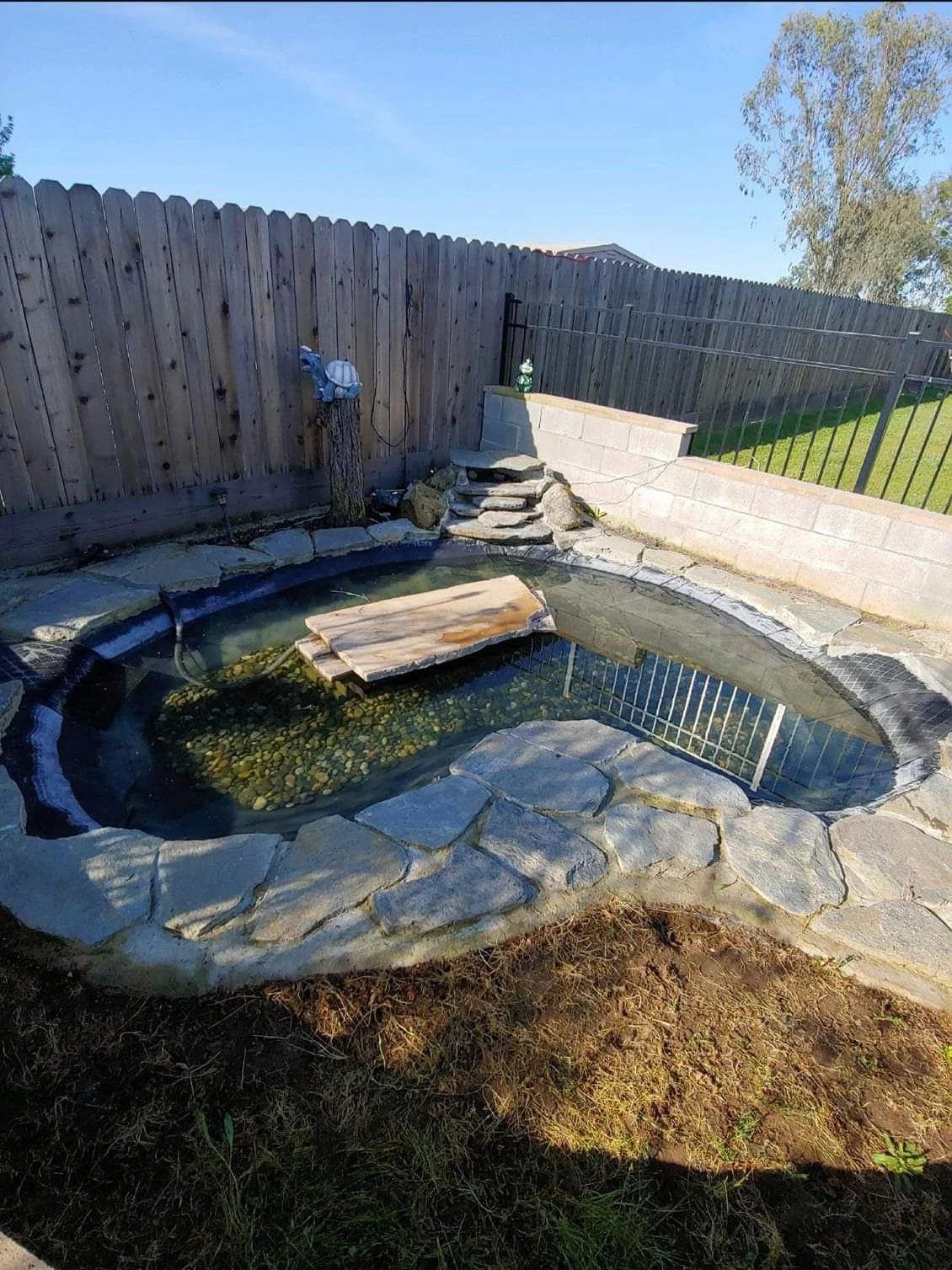 Custom Turtle Pond