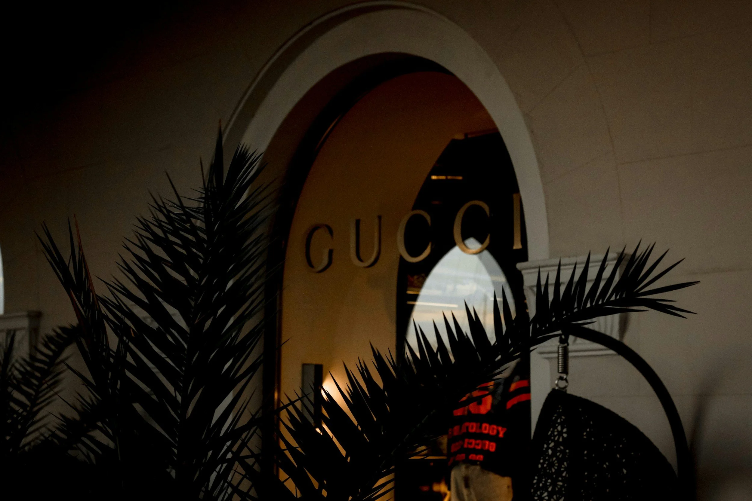 Gucci sign inside a shopping mall, visible through a dark foreground of palm leaves at dusk or night.
