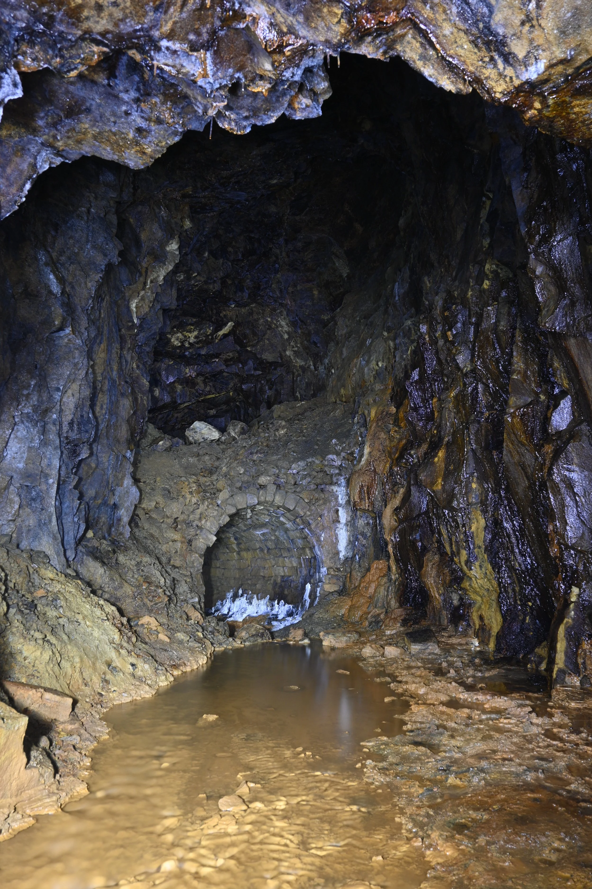 _Z508386.JPG