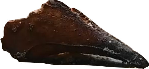 Close-up of a dark chocolate brownie with a slightly cracked top.
