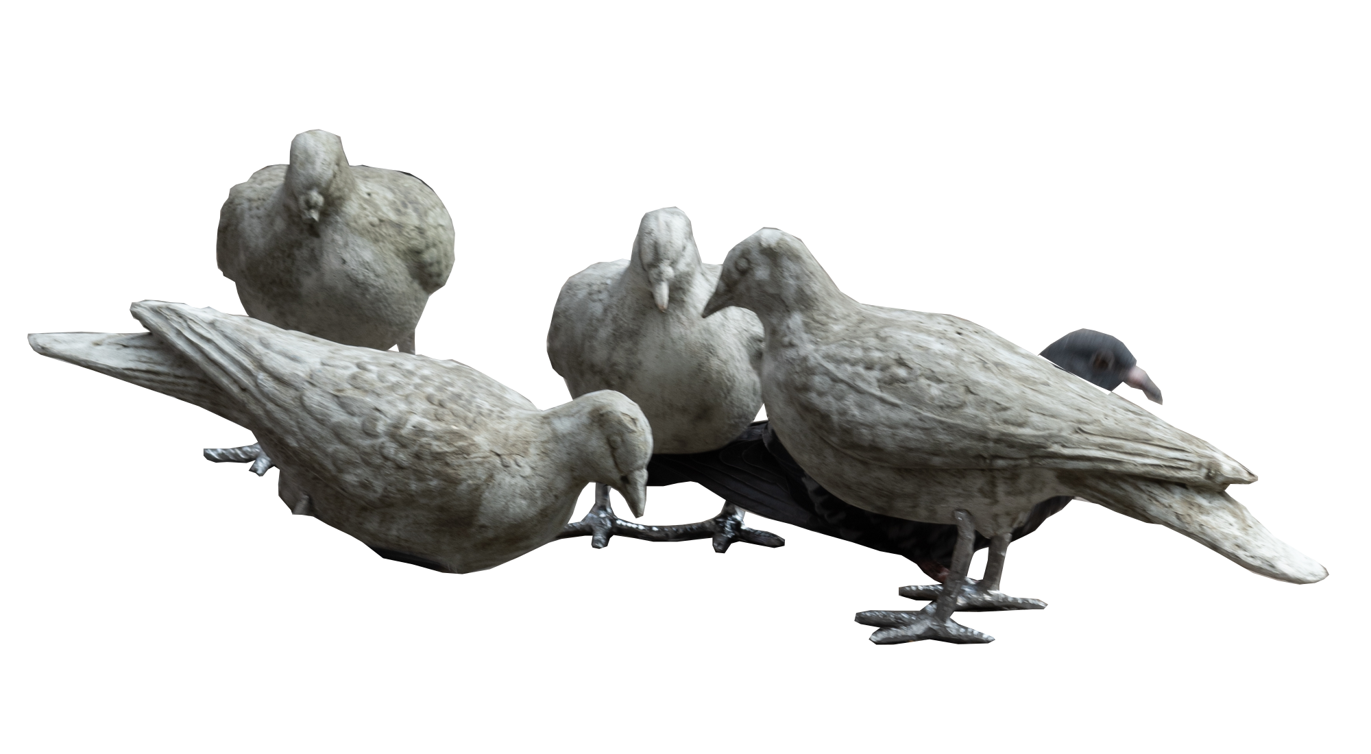 Six pigeons are perched on a windowsill, some facing left and some facing right.
