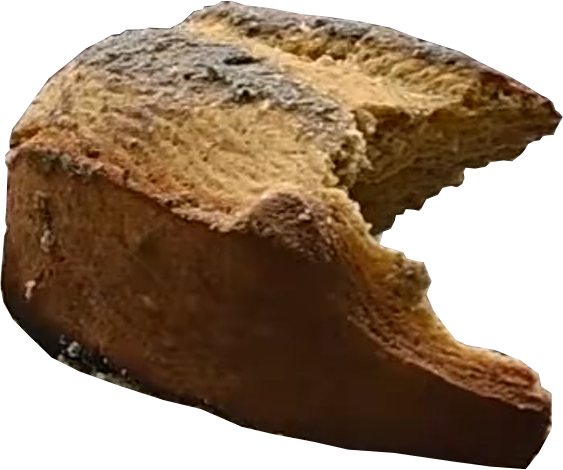 A close-up of a piece of bread with a crusty top and a soft interior.