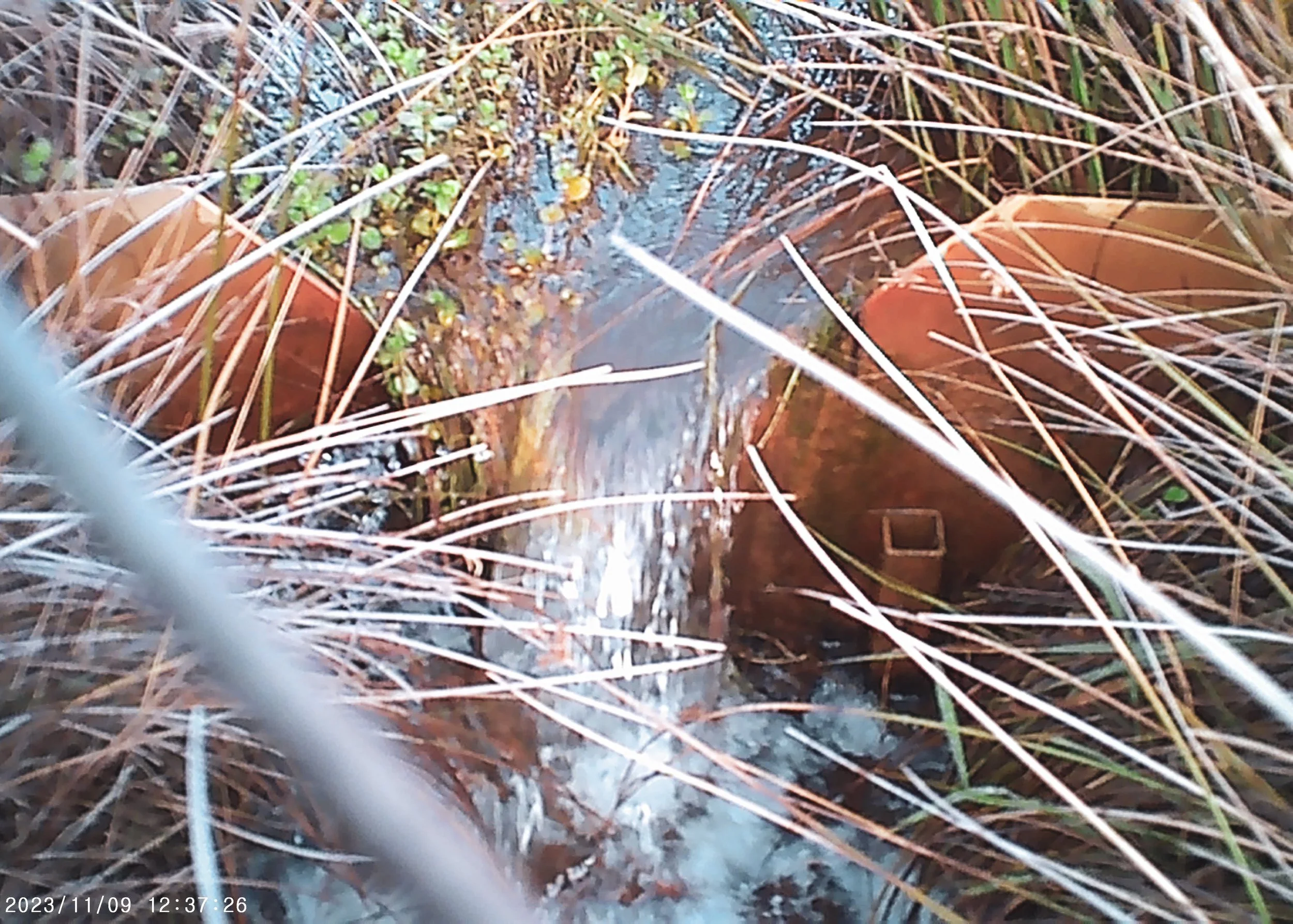 PHO00395.jpg