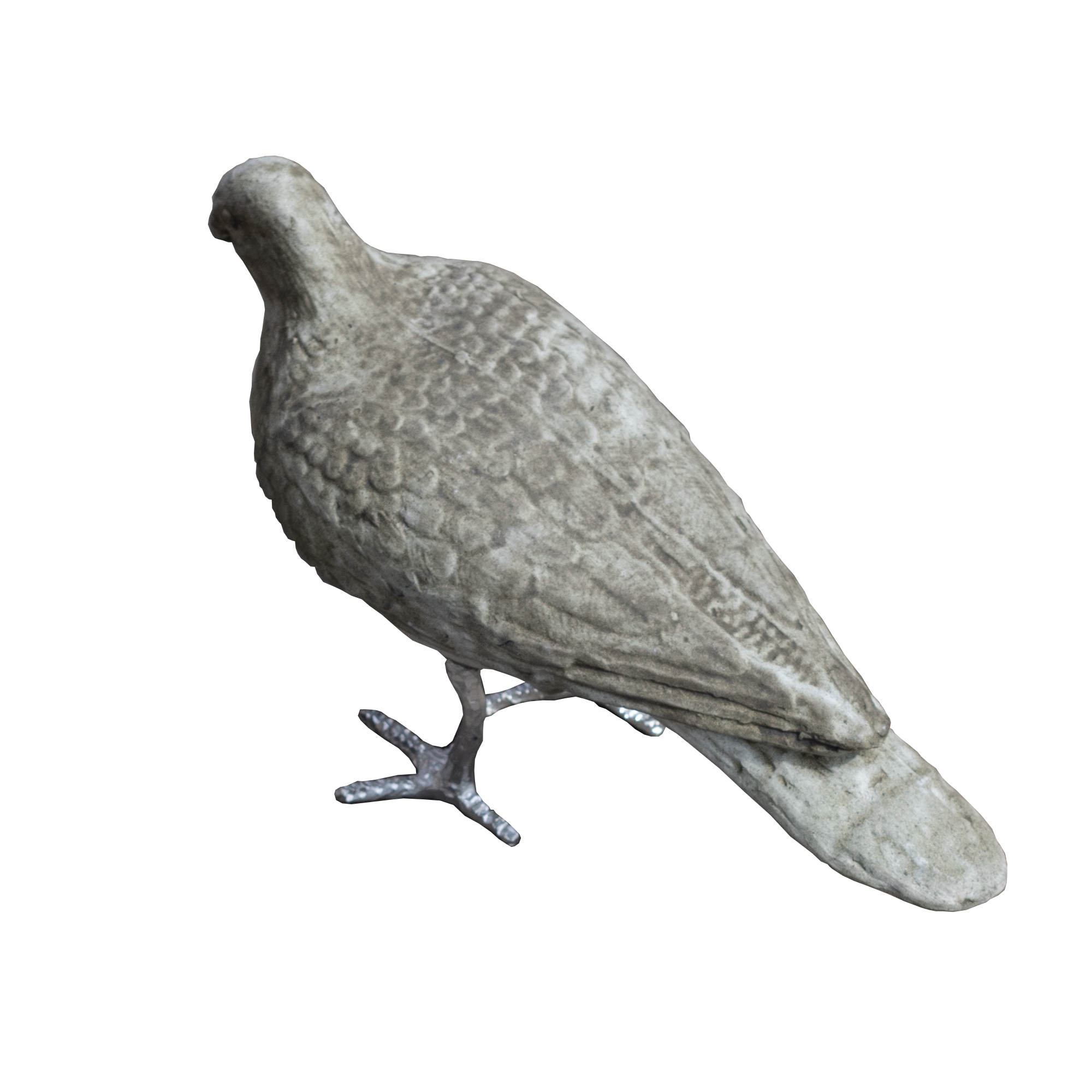 A bird with a long, slender neck and pointed beak, standing on one leg, with mottled gray and white feathers.