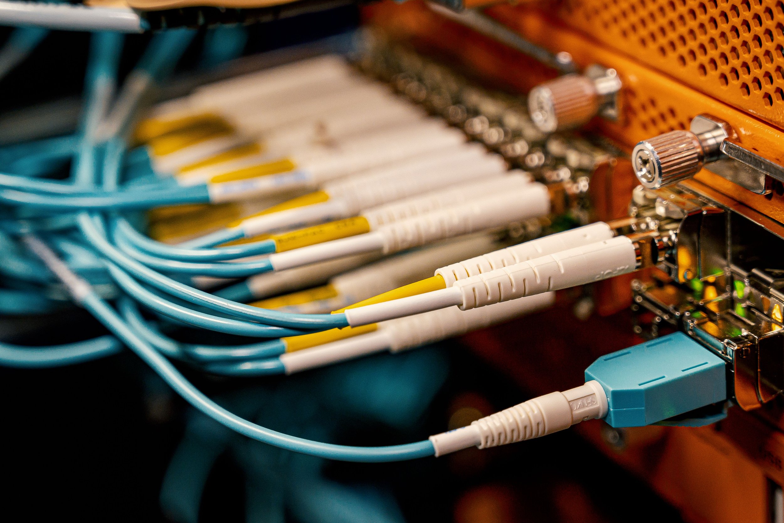 Close-up of network cables connected to a patch panel, with blue and white cables and orange panel with metal connectors.