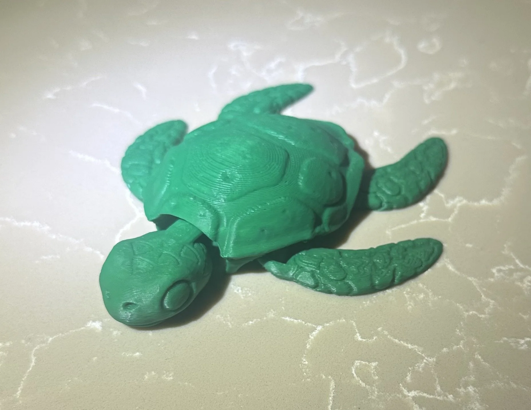 Maverick's Turtles