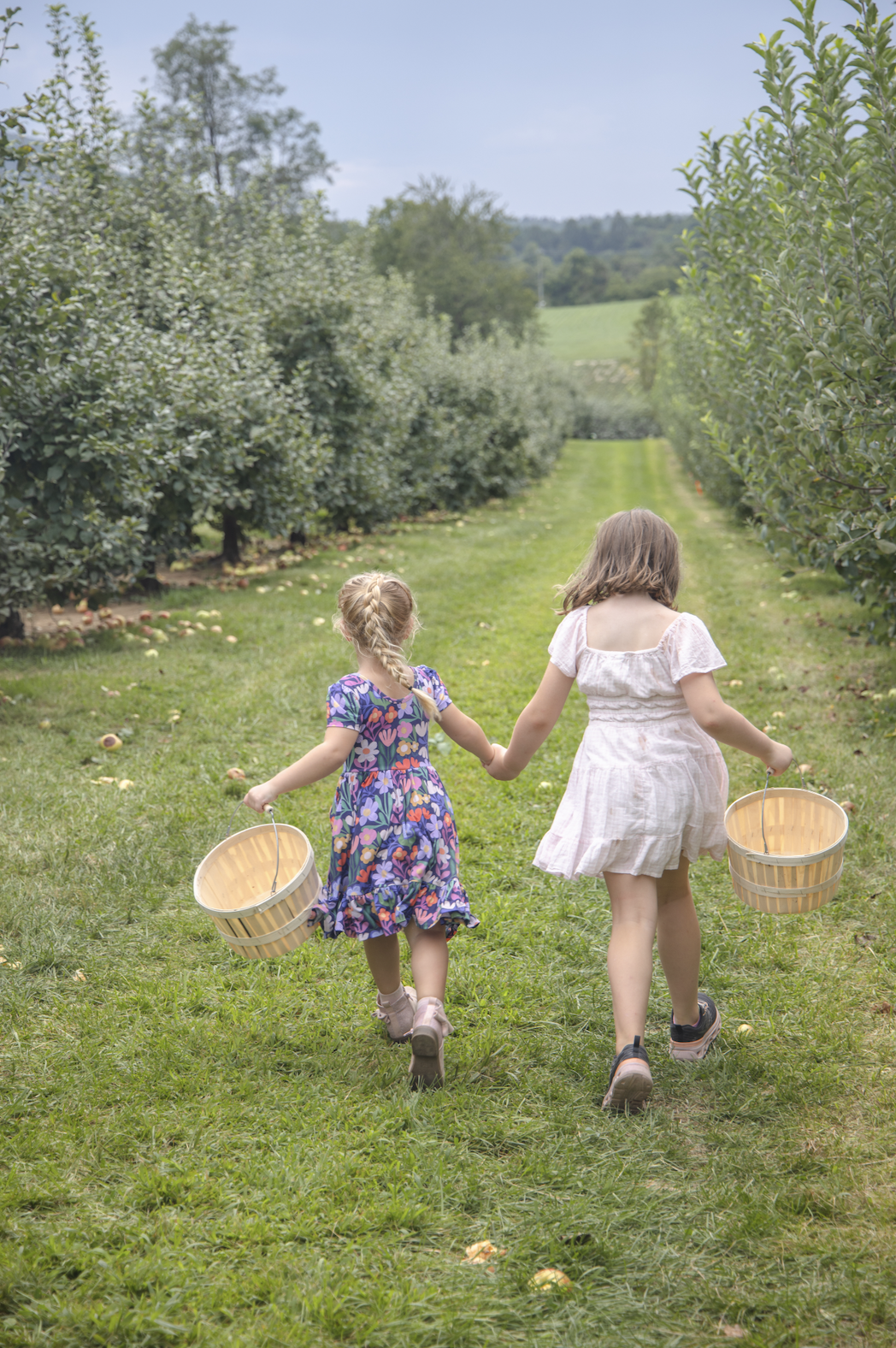 Two young girls in dresses holding hands and carrying baskets walking through an apple orchard on a sunny day.