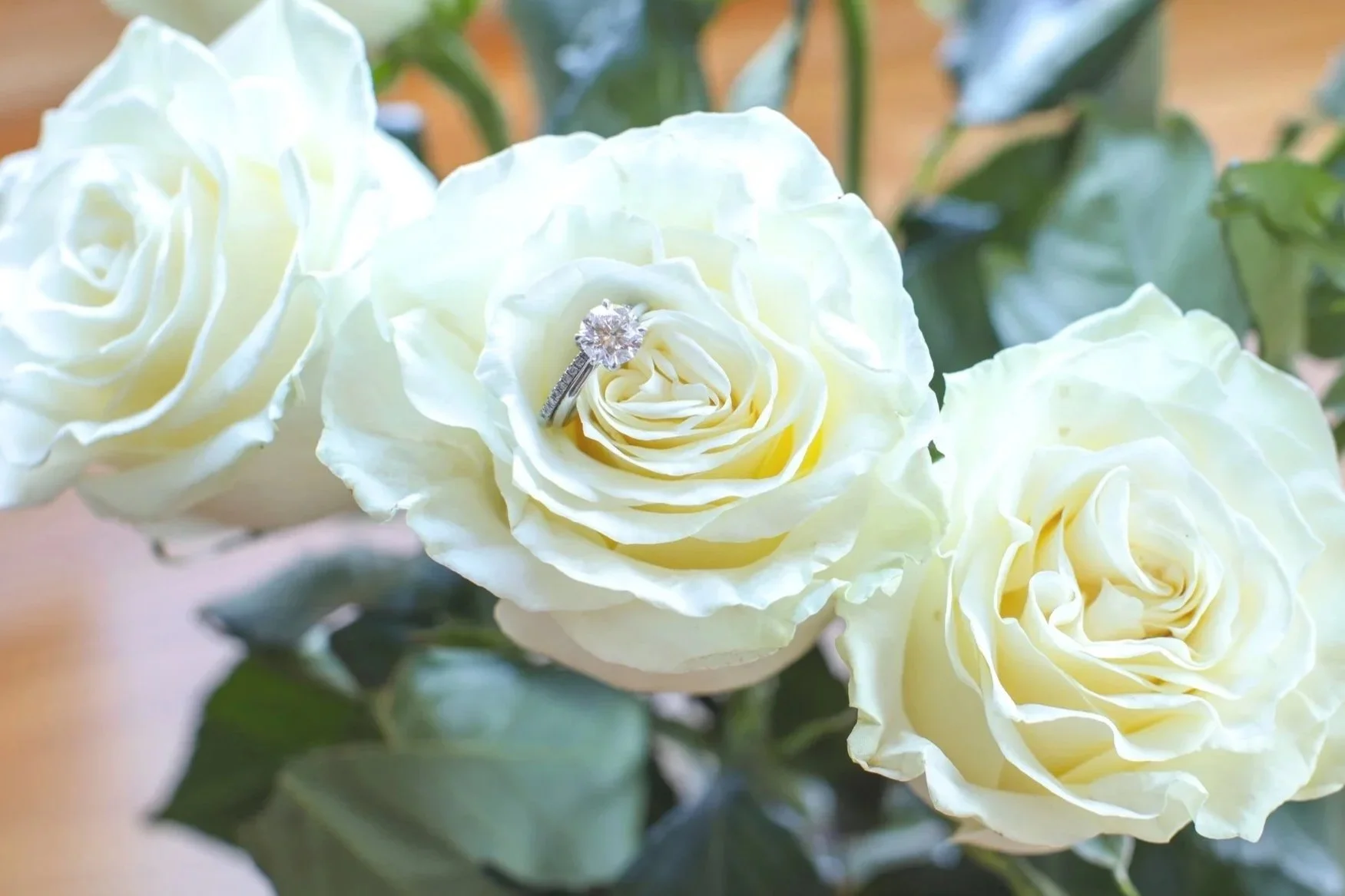 Close-up of three white roses with an engagement ring featuring a diamond in the center on one of the roses.