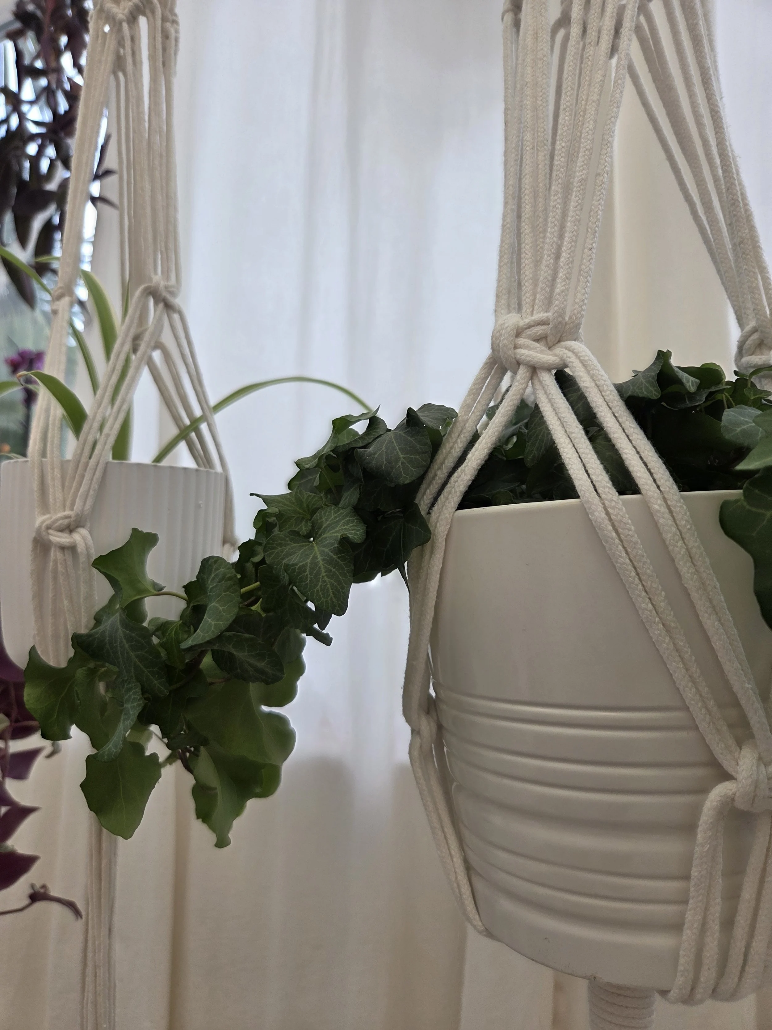 plant hanger 6.jpg