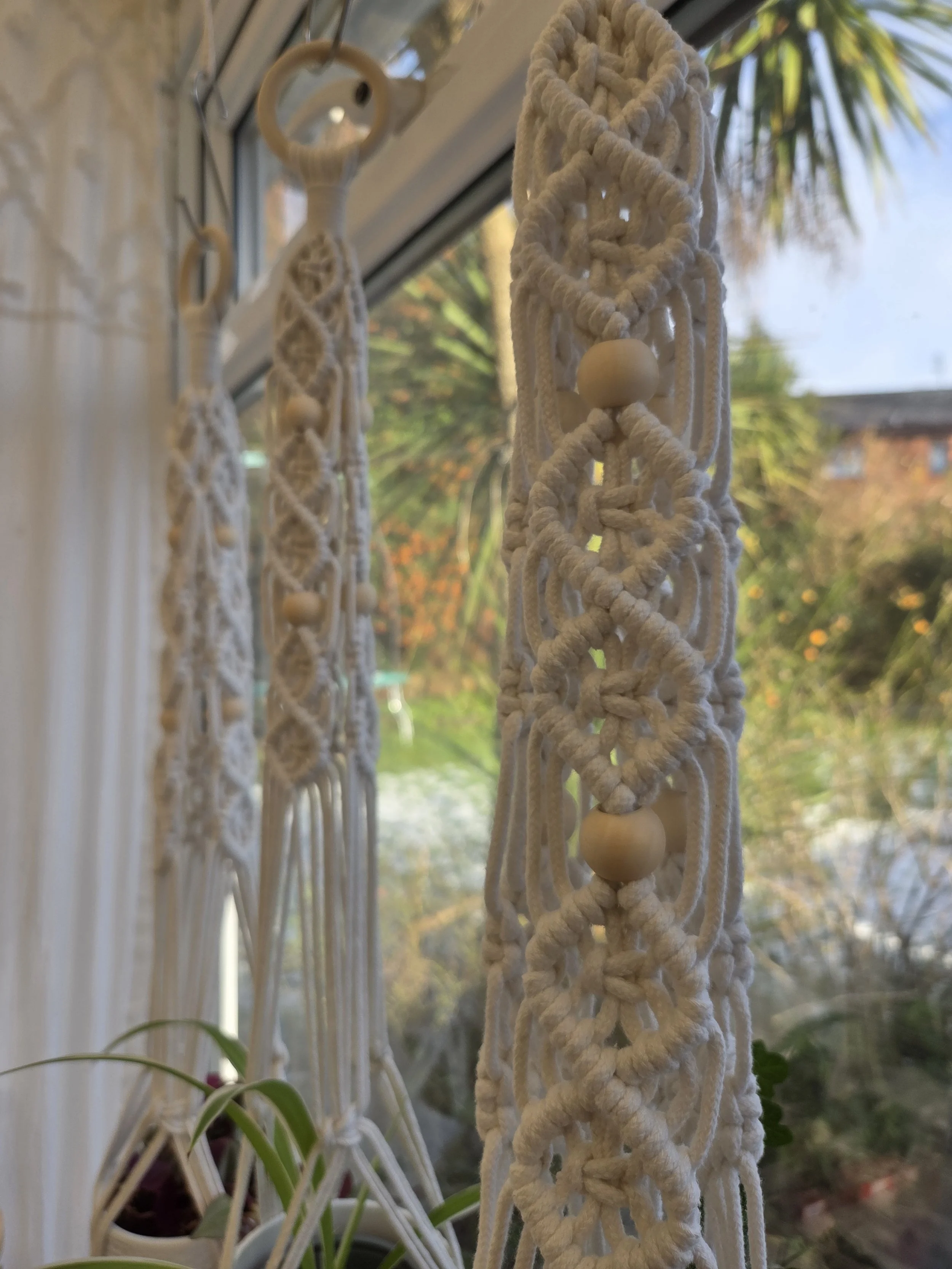 plant hanger.jpg