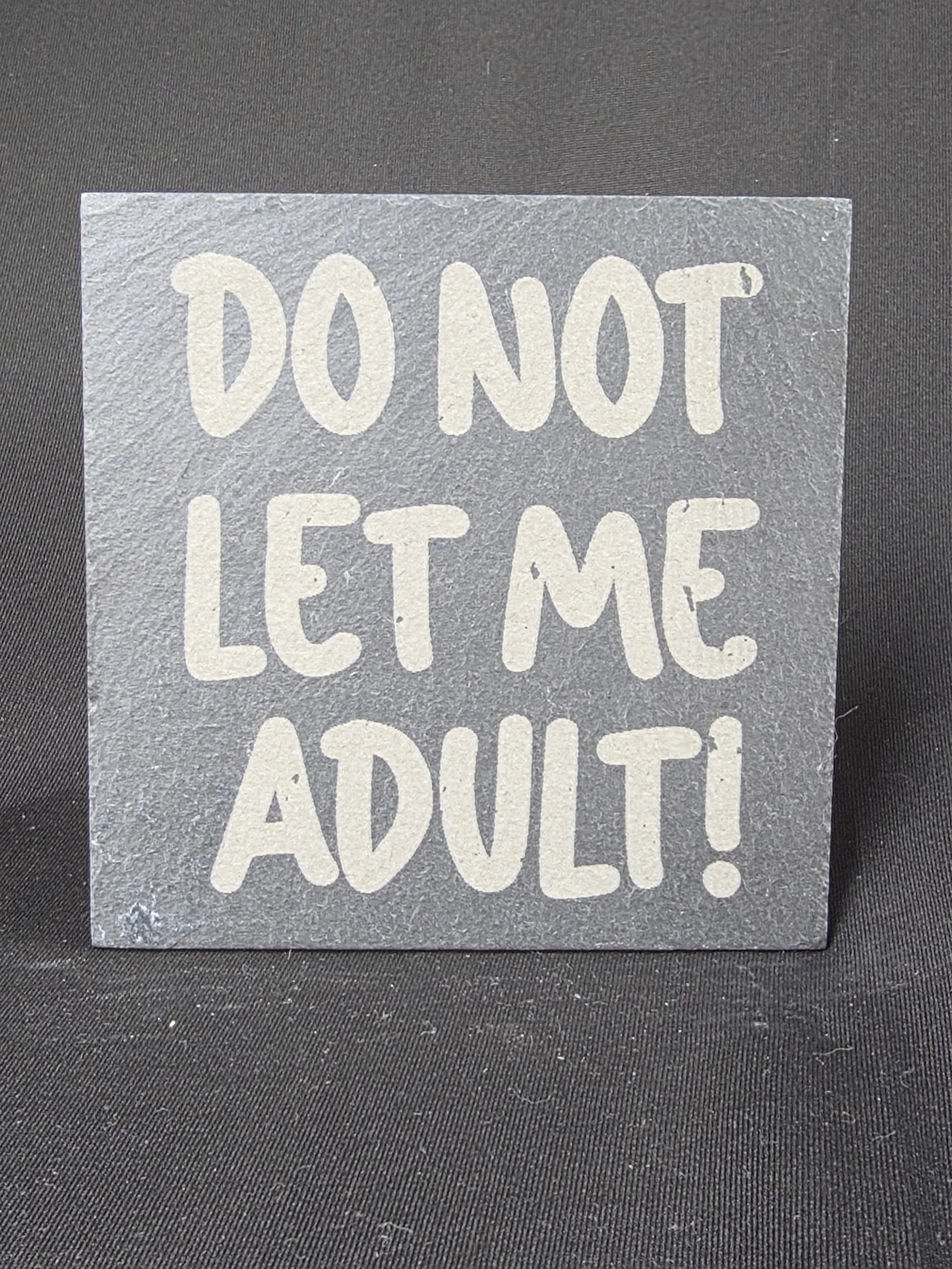 Do Not Let Me Adult Slate Coaster