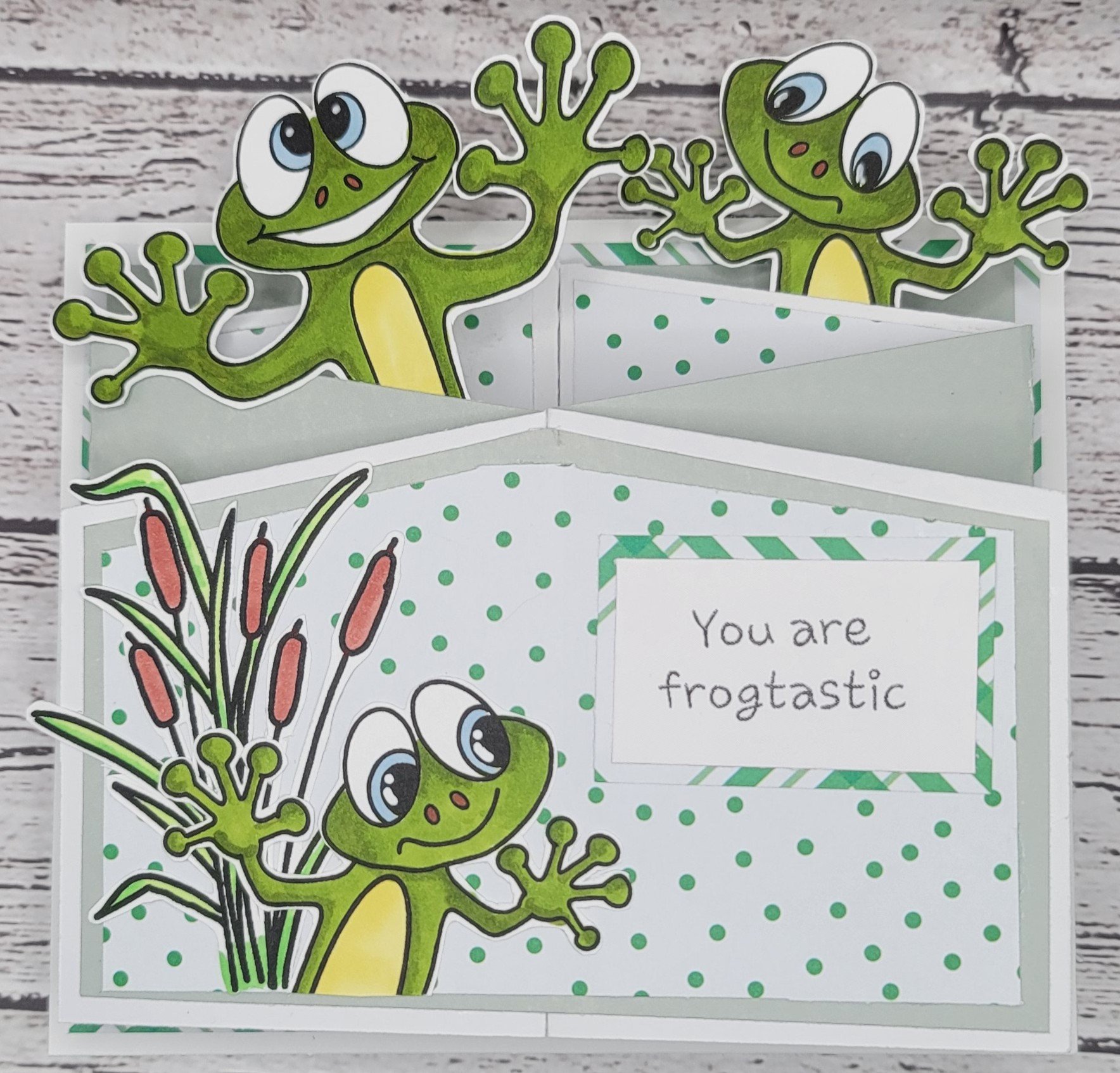 Frogtastic Accordion Card
