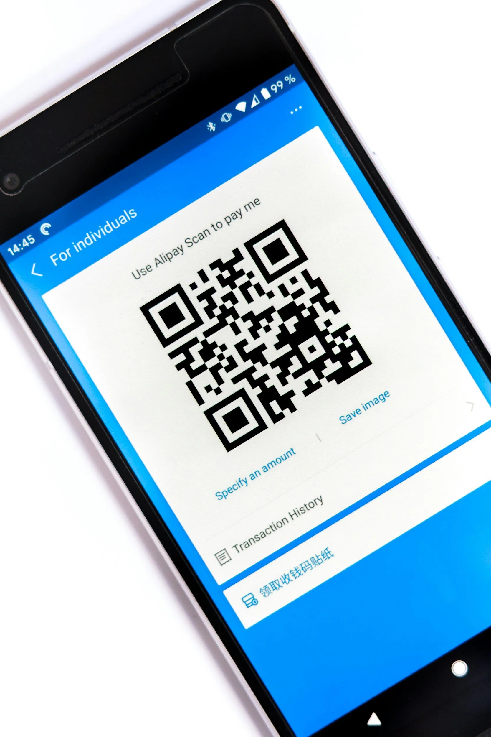 Smartphone screen displaying a QR code for Alipay payment with instructions to scan to pay, and a blue header indicating 'For individuals'.