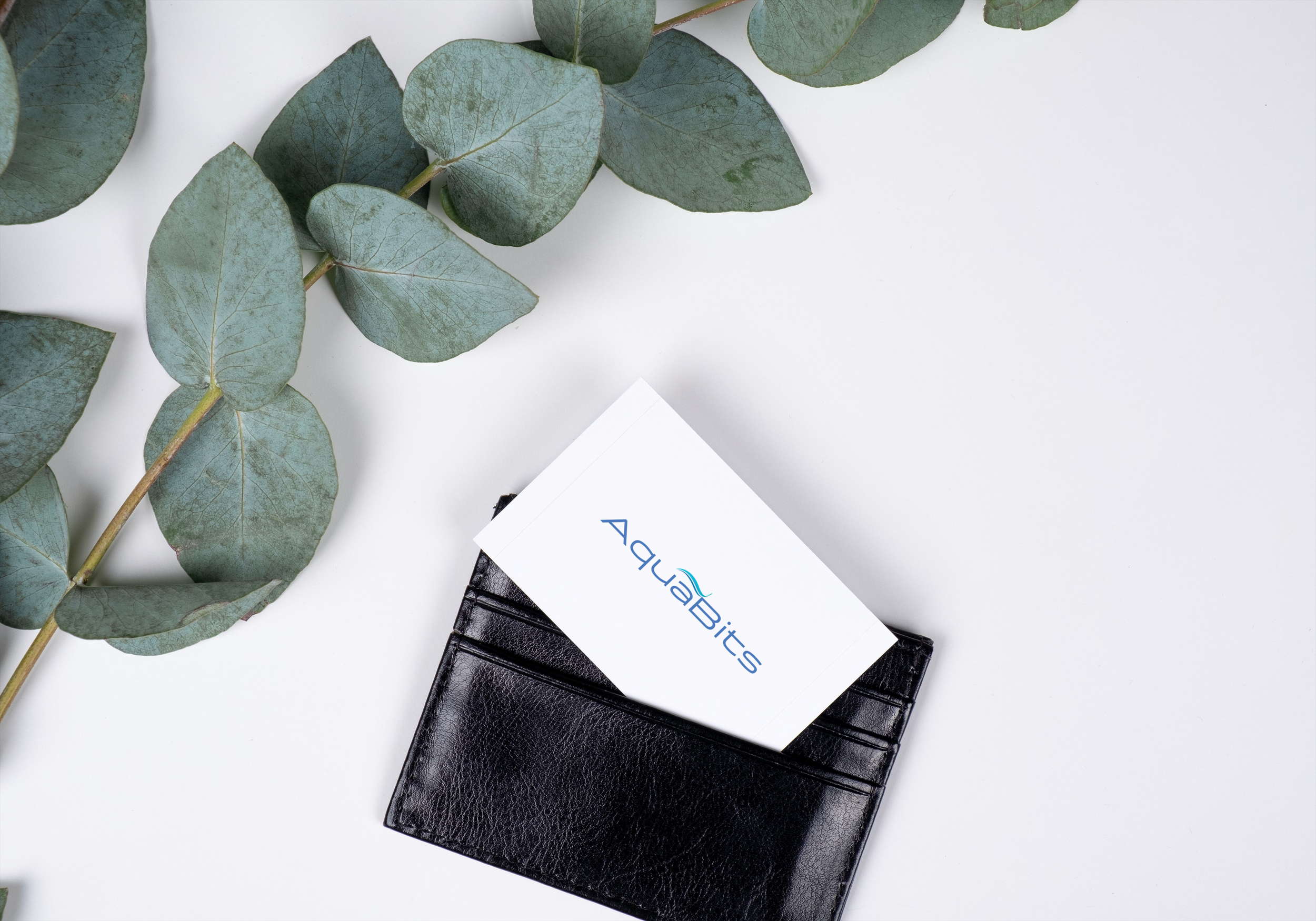 A black textured wallet with a white card that has blue and black text, partially inside the wallet, on a white surface. Green leaves are laid beside the wallet.
