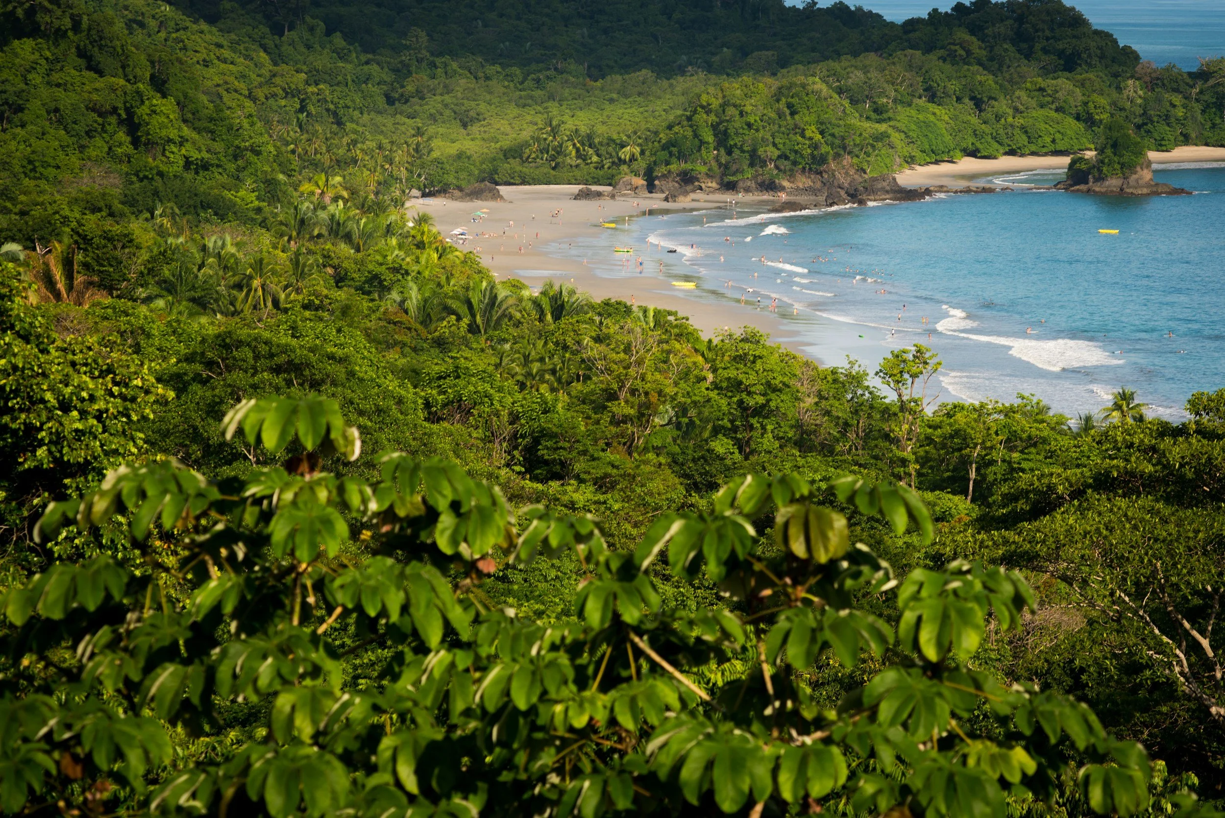 Lush tropical rainforest overlooking a sandy beach with people swimming and sunbathing, with the ocean and rocky outcroppings in the background.