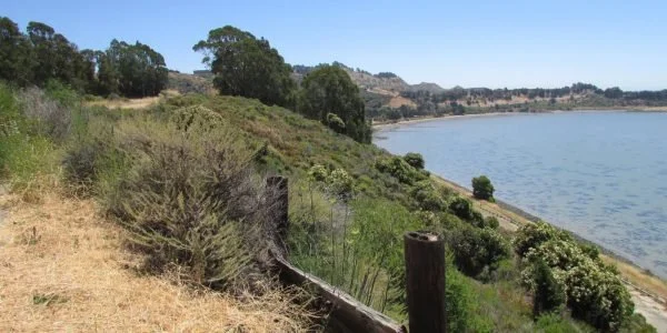 Proposed Development at Point Molate Threatens the Bay’s Dungeness Crab Fishery and Climate Goals