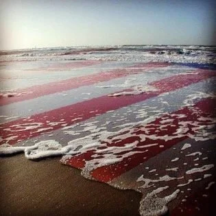 PRESS RELEASE: Ocean Leaders send letter to Clinton and Trump