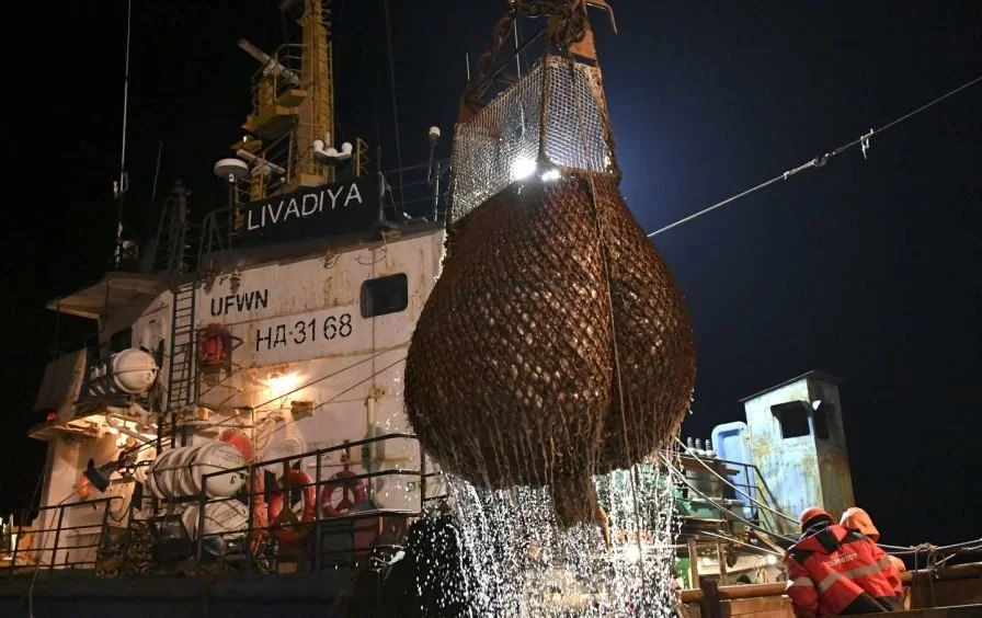 Charting a Sustainable Course for the Blue Economy