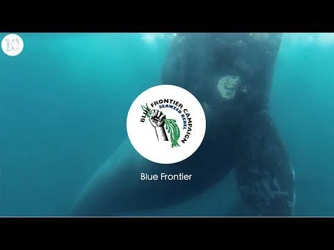 History of Blue Frontier