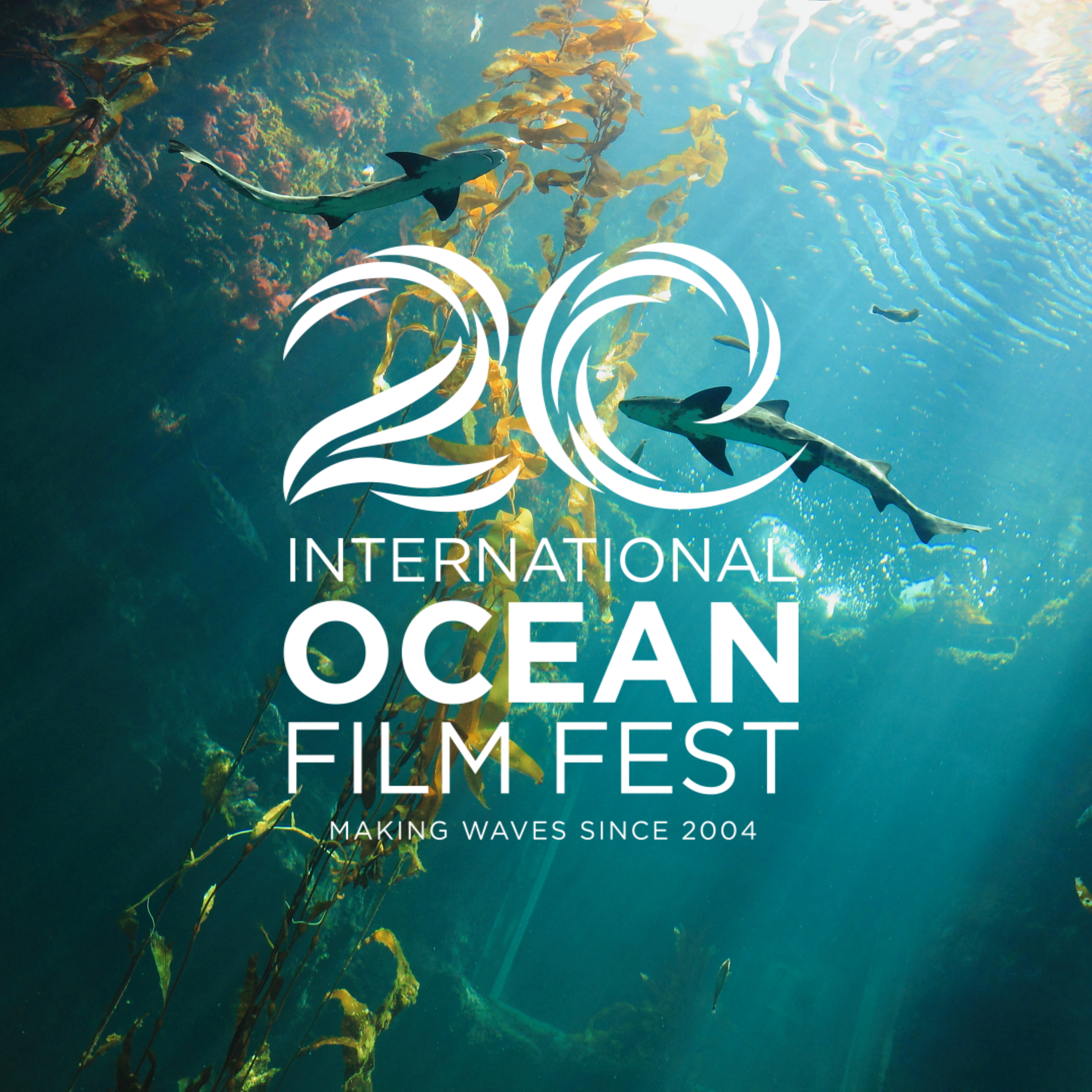 An Ocean Film Festival for an Ocean in Trouble