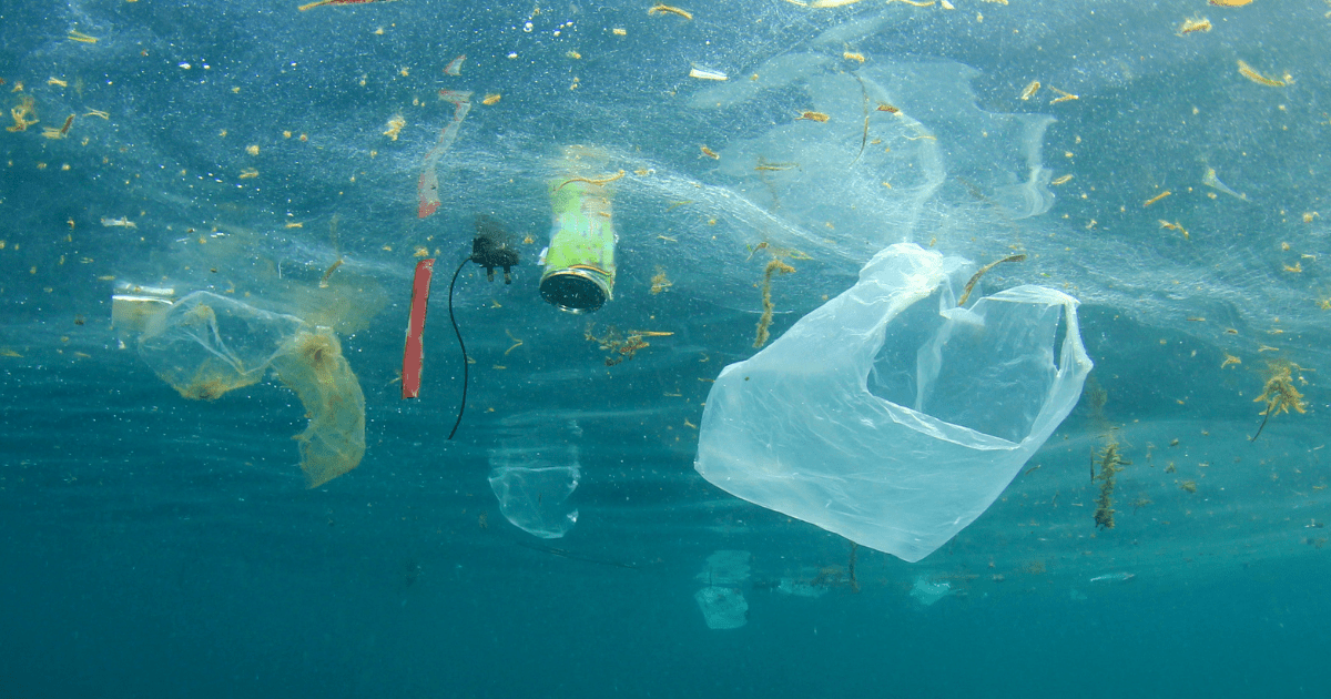 Opinion: The Oceans Court ruled that the seas are a hot mess. Why haven’t you heard about it?