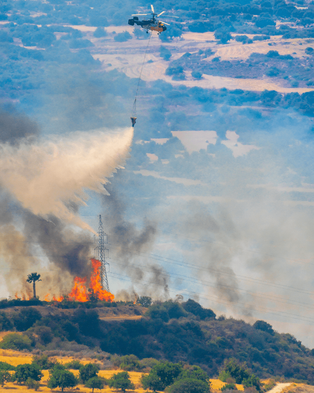 Rising Ocean Temperatures Are Driving the Los Angeles Firestorms