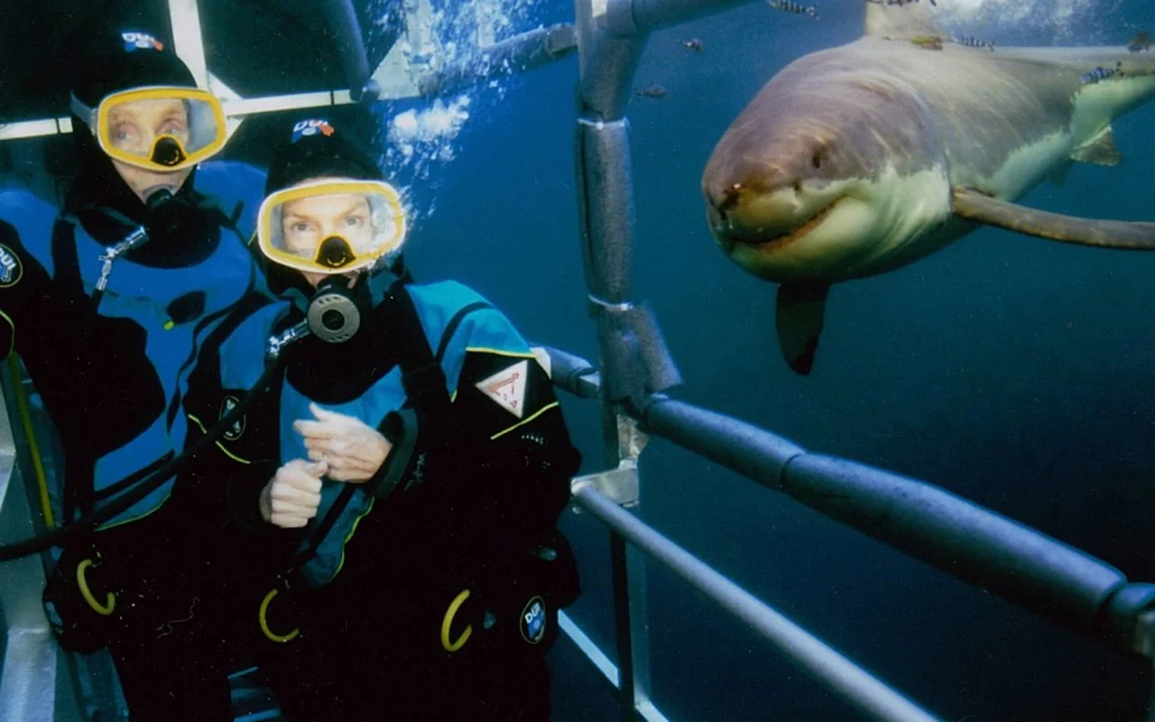 Rising Tide #24 – Wendy Benchley’s Jaws of Conservation