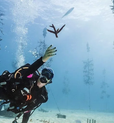 Rising Tide #90 - Coral Restoration in a Climate Crisis