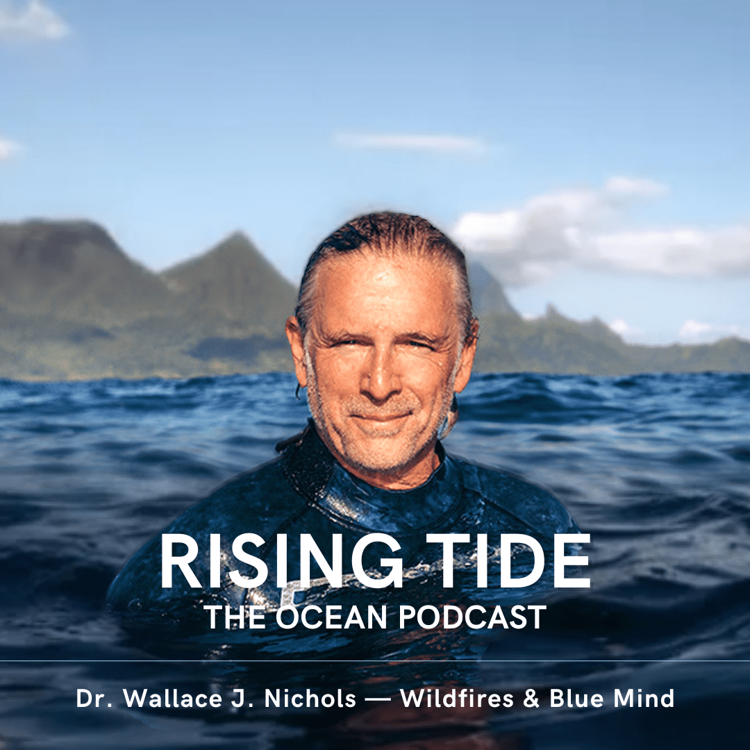 Rising Tide #112 - Dr. Wallace J. Nichols (Rebroadcast)