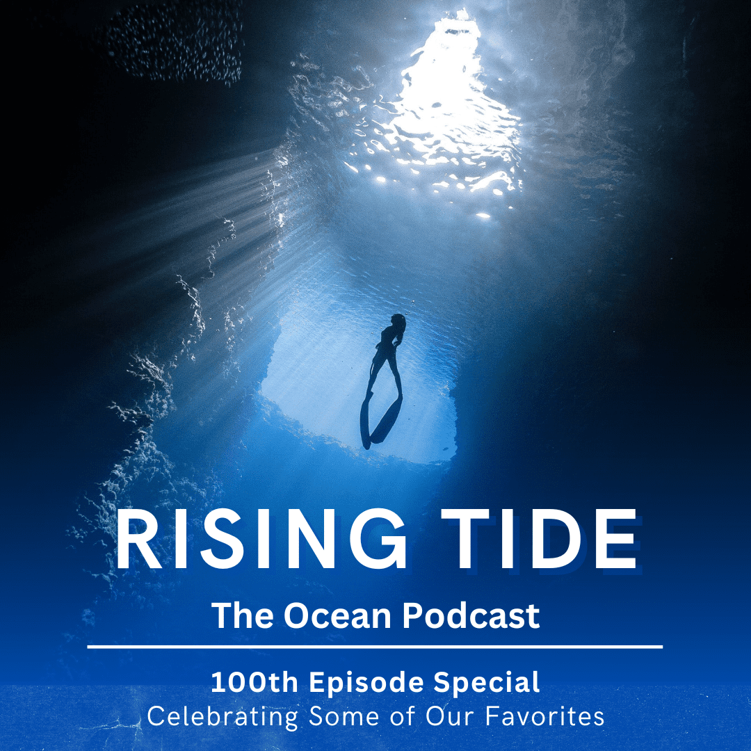 Rising Tide #100 - Celebrating Some of our Favorites