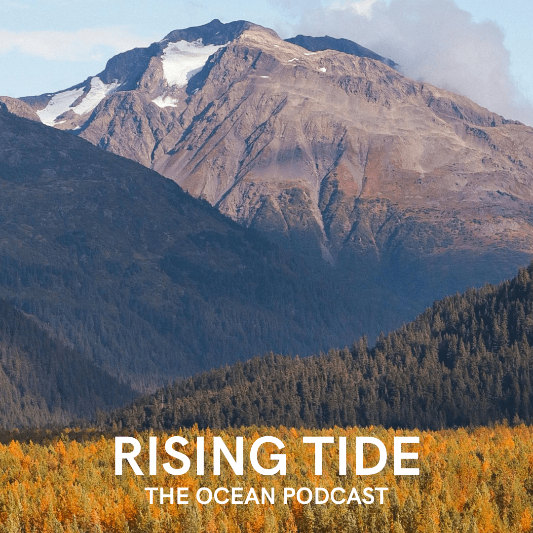 From Crisis to Conservation: The Inspiring Journey of Dune Lankard