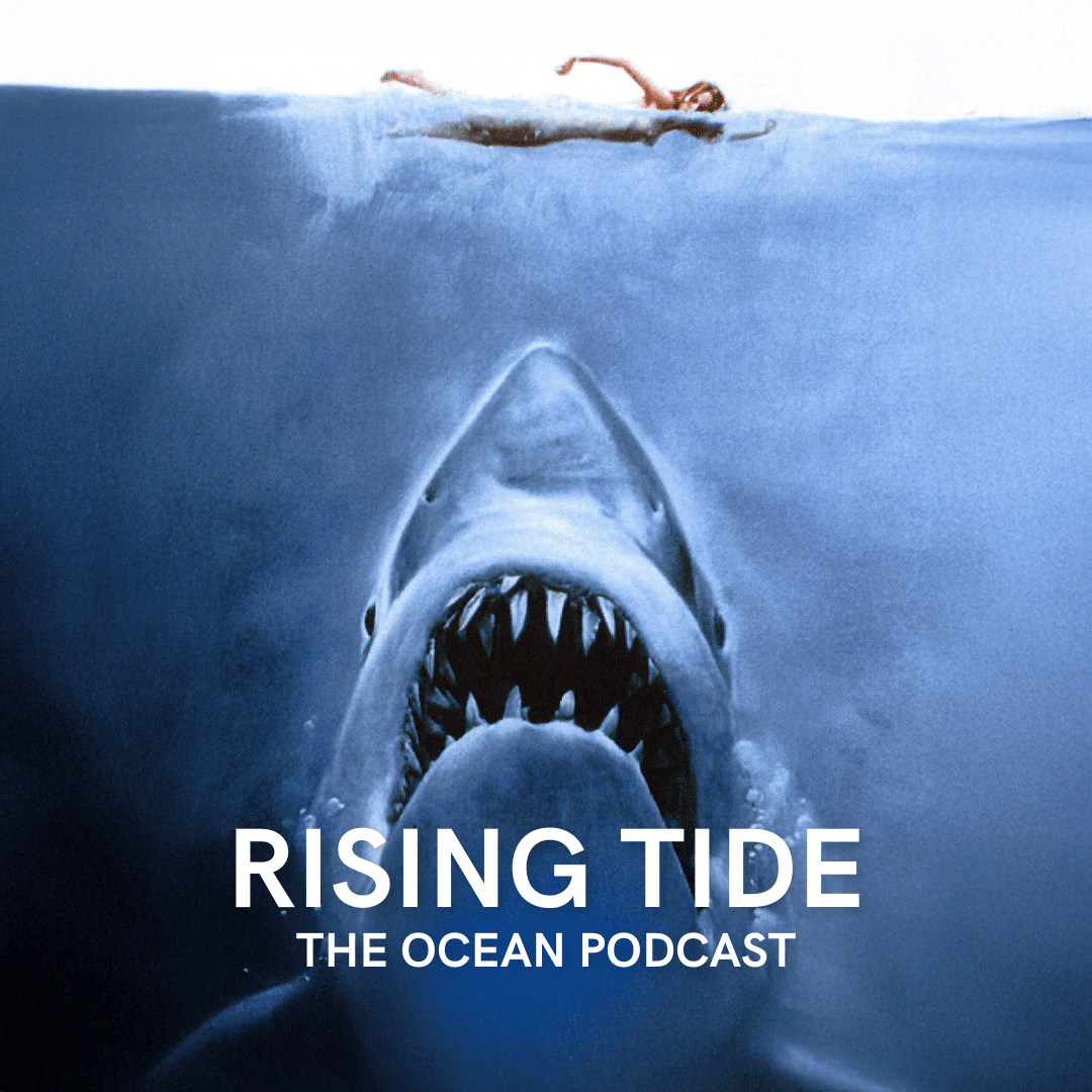 From Jaws to Jubilation: The Legacy &amp; Return of The Peter Benchley Ocean Awards