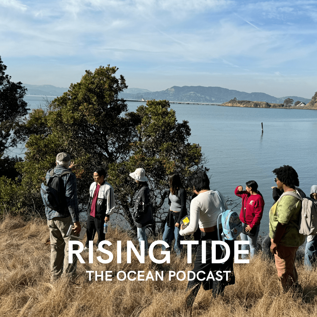 From Development Dreams to Parkland Reality: Point Molate's Story