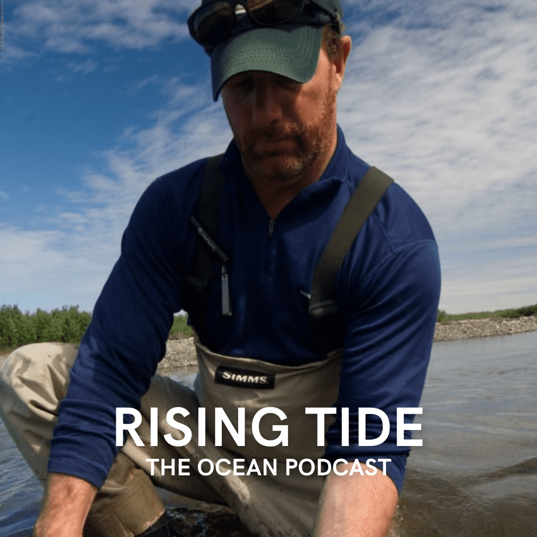 Salmon State Revisited with Tim Bristol