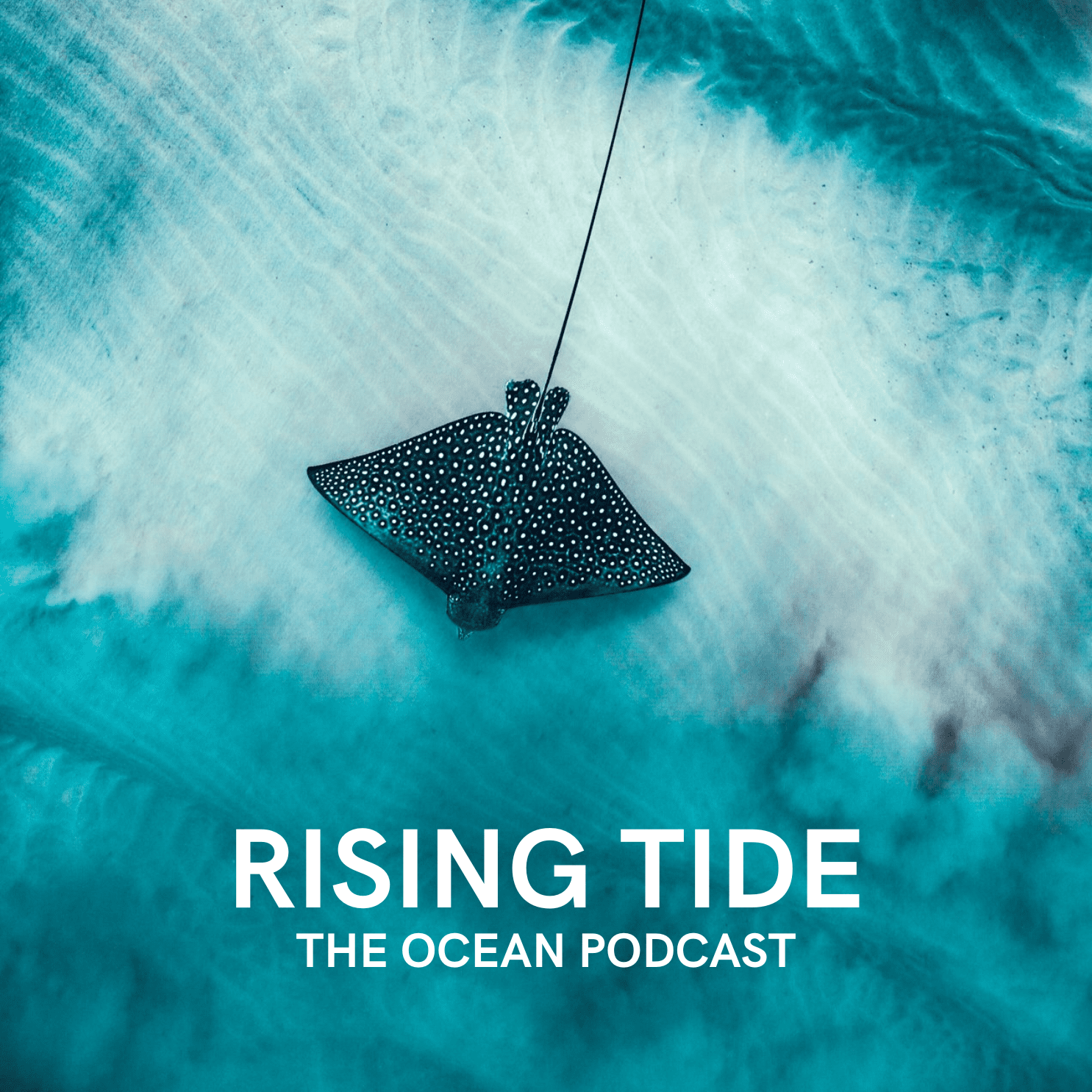 Blue News and Great Diving with Rep. Huffman &amp; Tiani Dun
