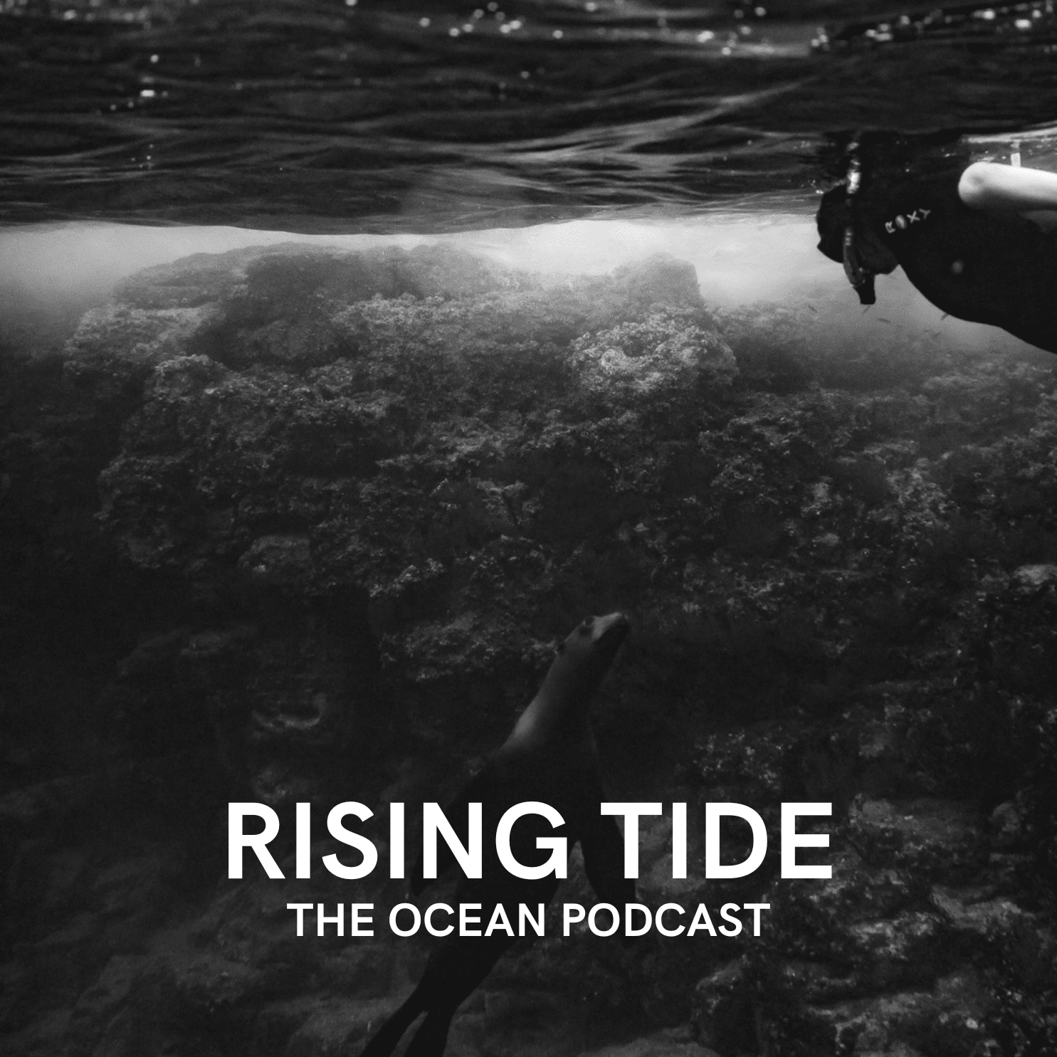Behind the Glass – Kim McIntyre and the Aquarium Conservation Partnership