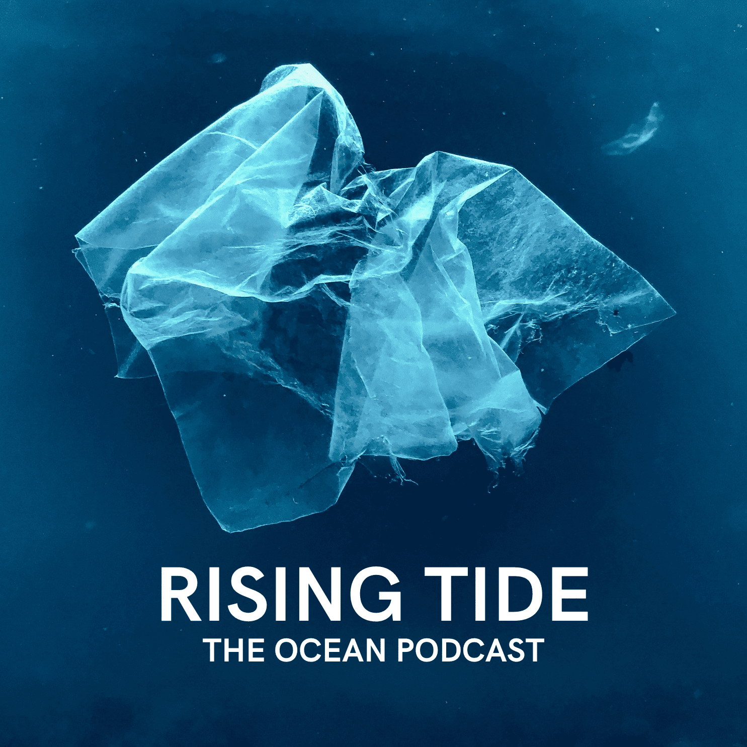 The UN’s Ocean Conference