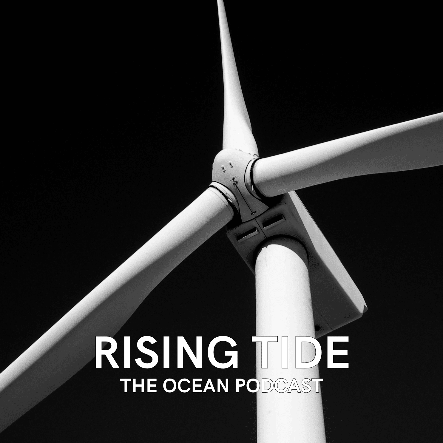 Labor is for ‘Revolution’ in Offshore Wind