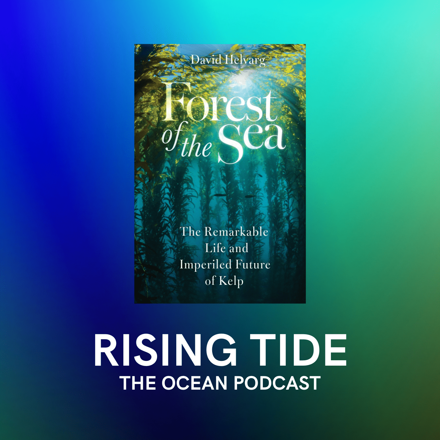 Helvarg on the "Forest of the Sea"