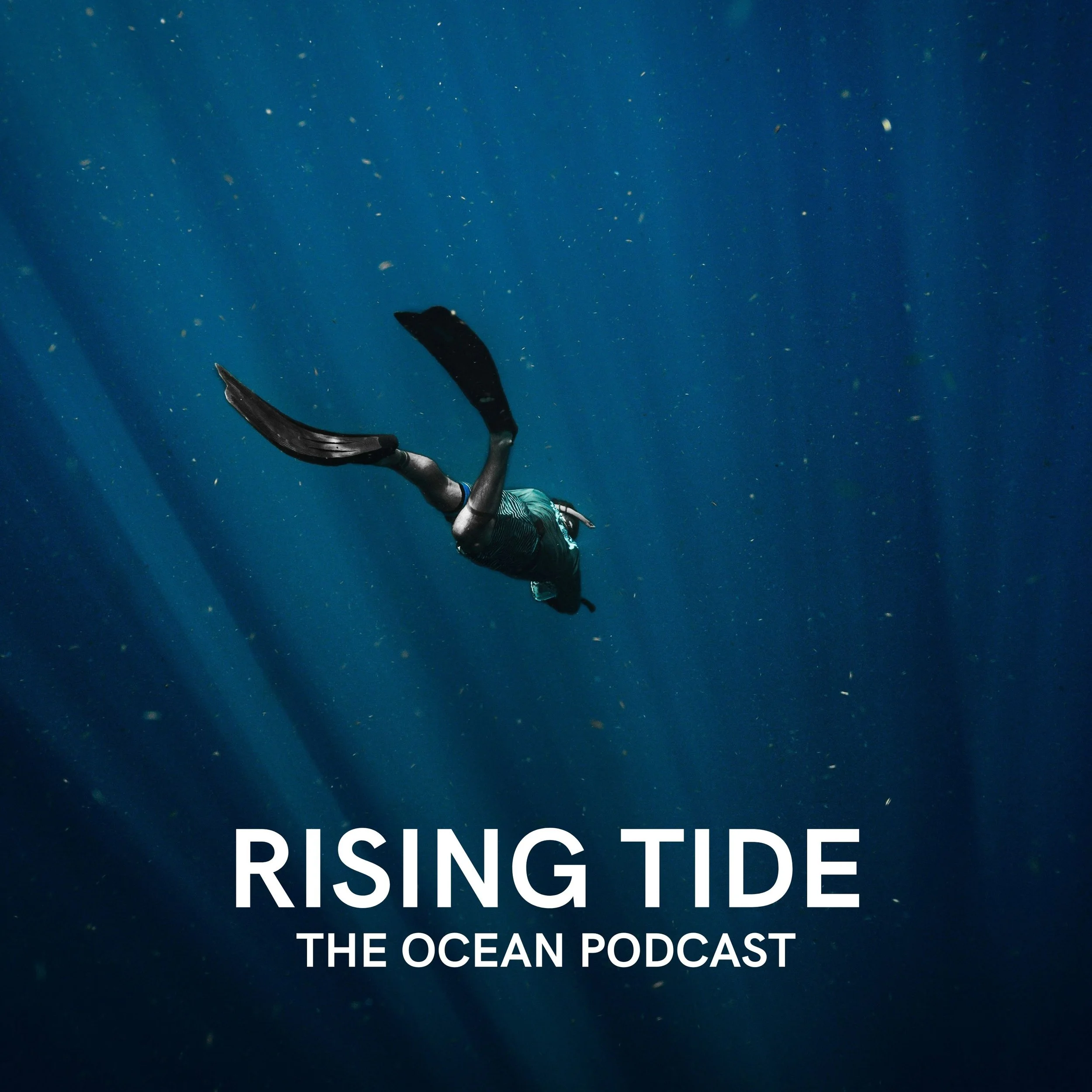 Diving in with Dive shop Owner Natalie Shuman