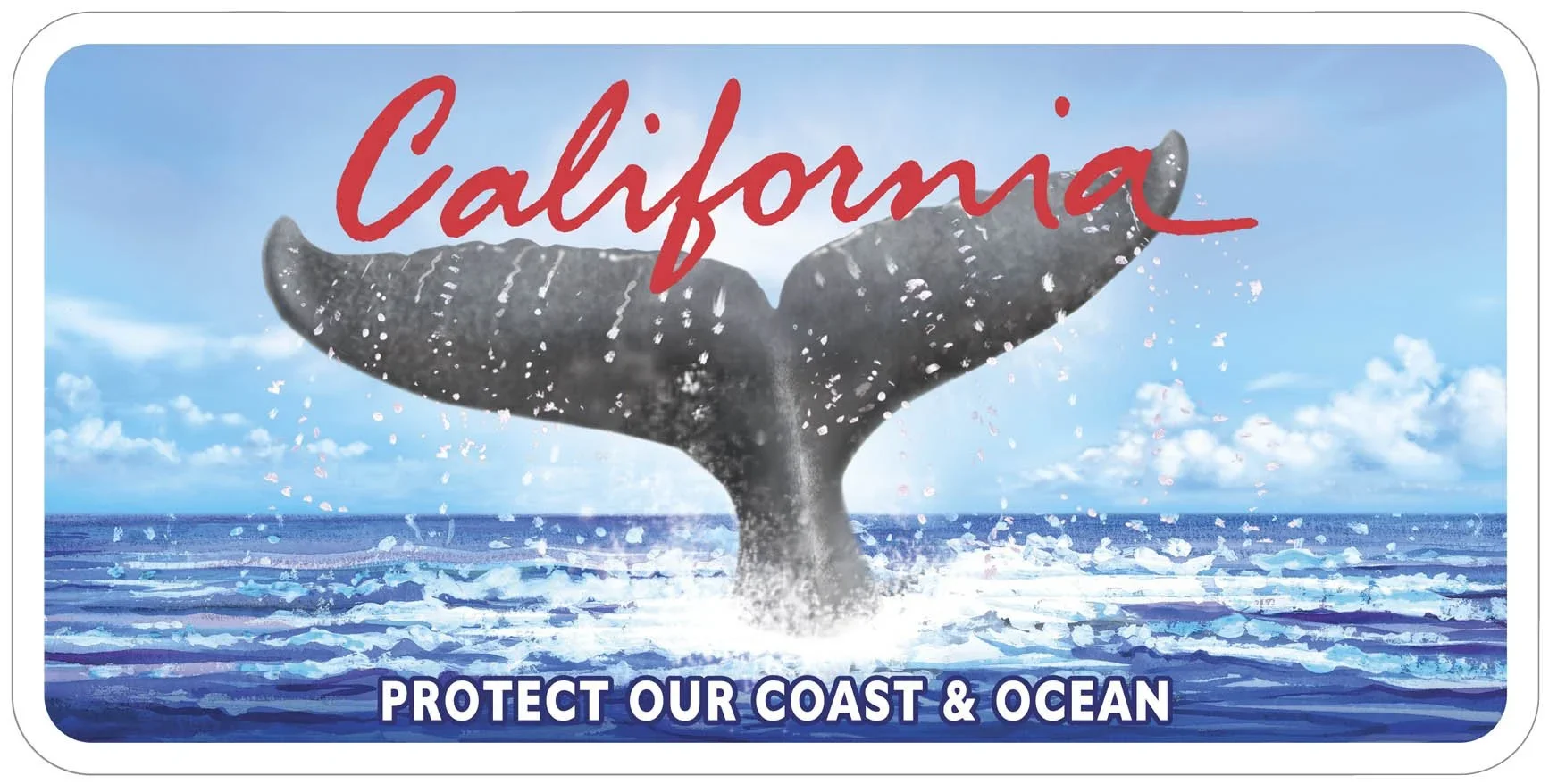 WHALE TAIL License Plate