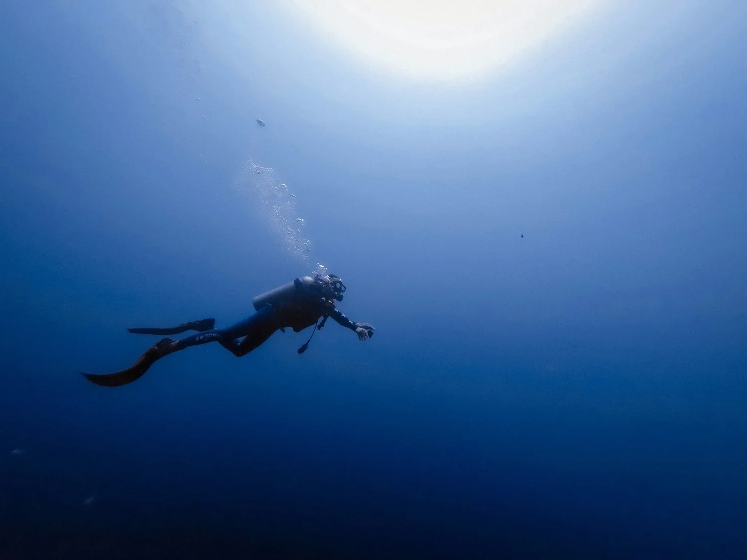 Dive In