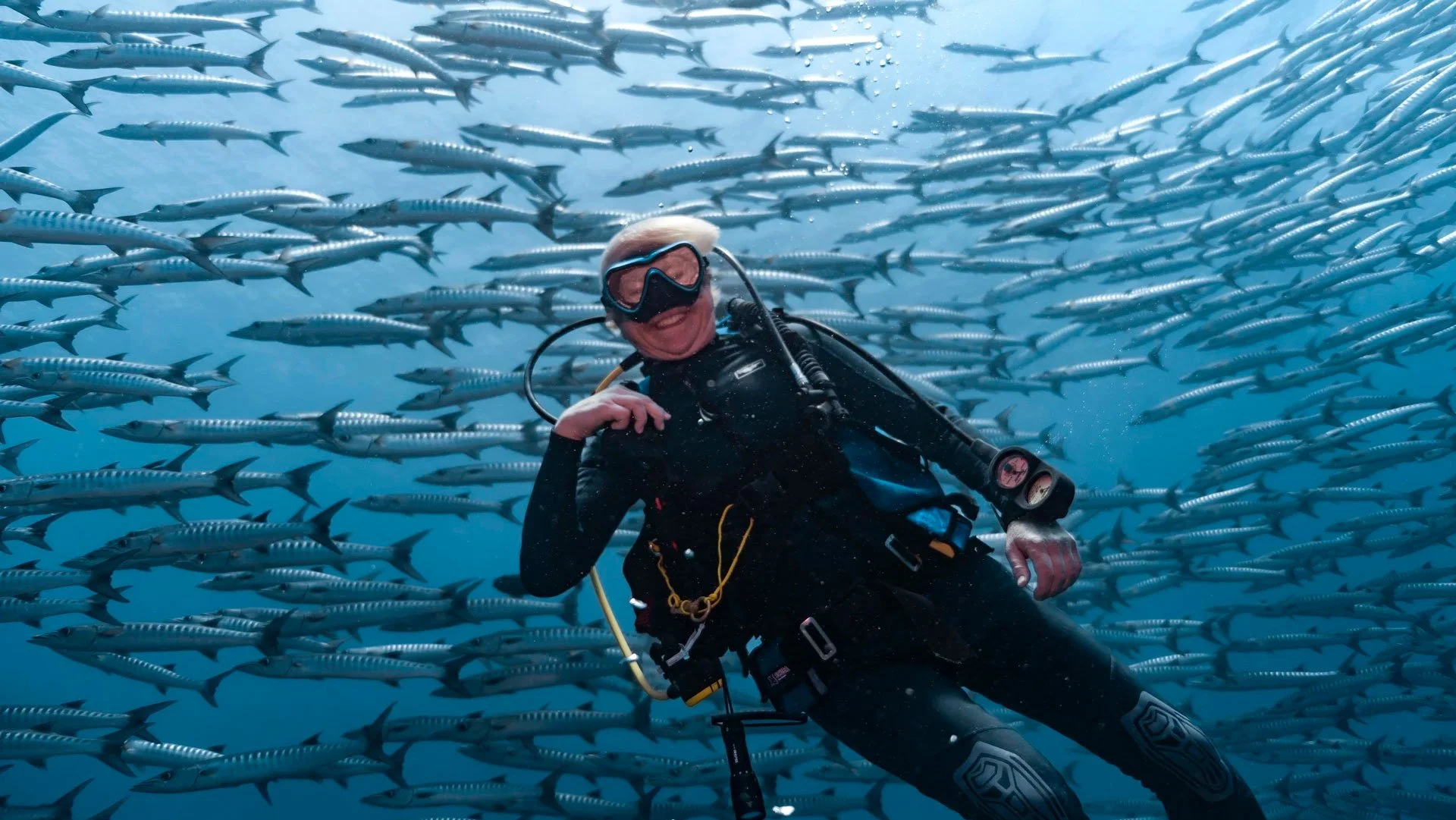 David Helvarg: The Forest of the Sea – A talk on kelp, climate and the future of the Ocean