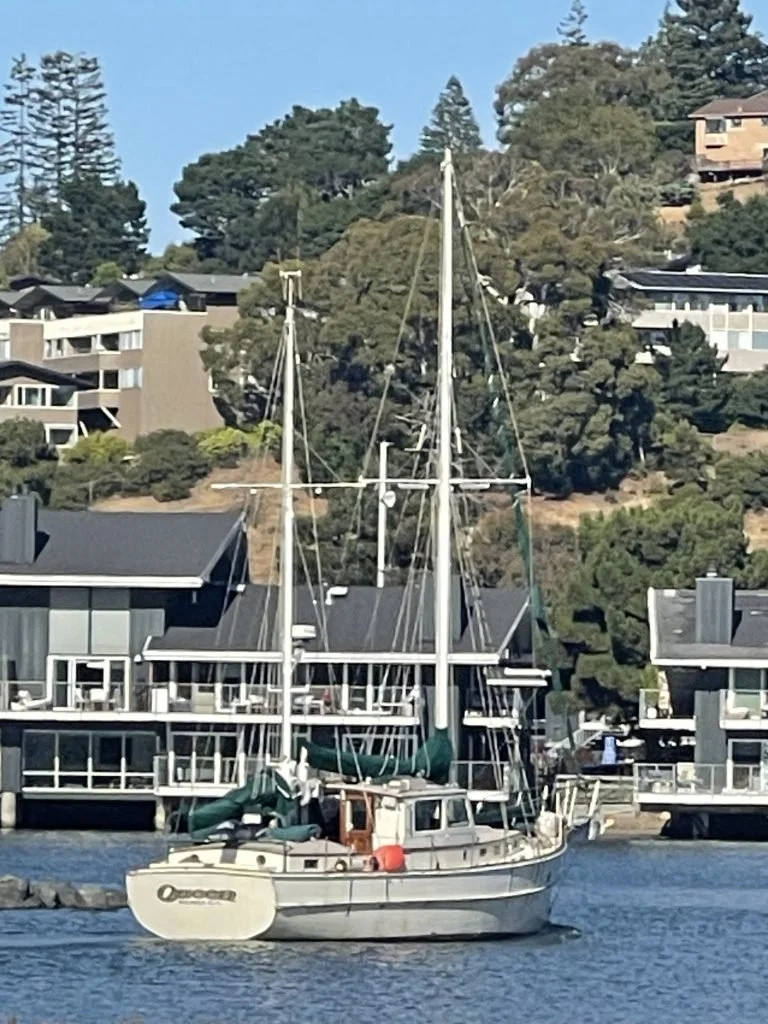 A sailboat docked in a marina with modern residential buildings and trees on hills in the background.