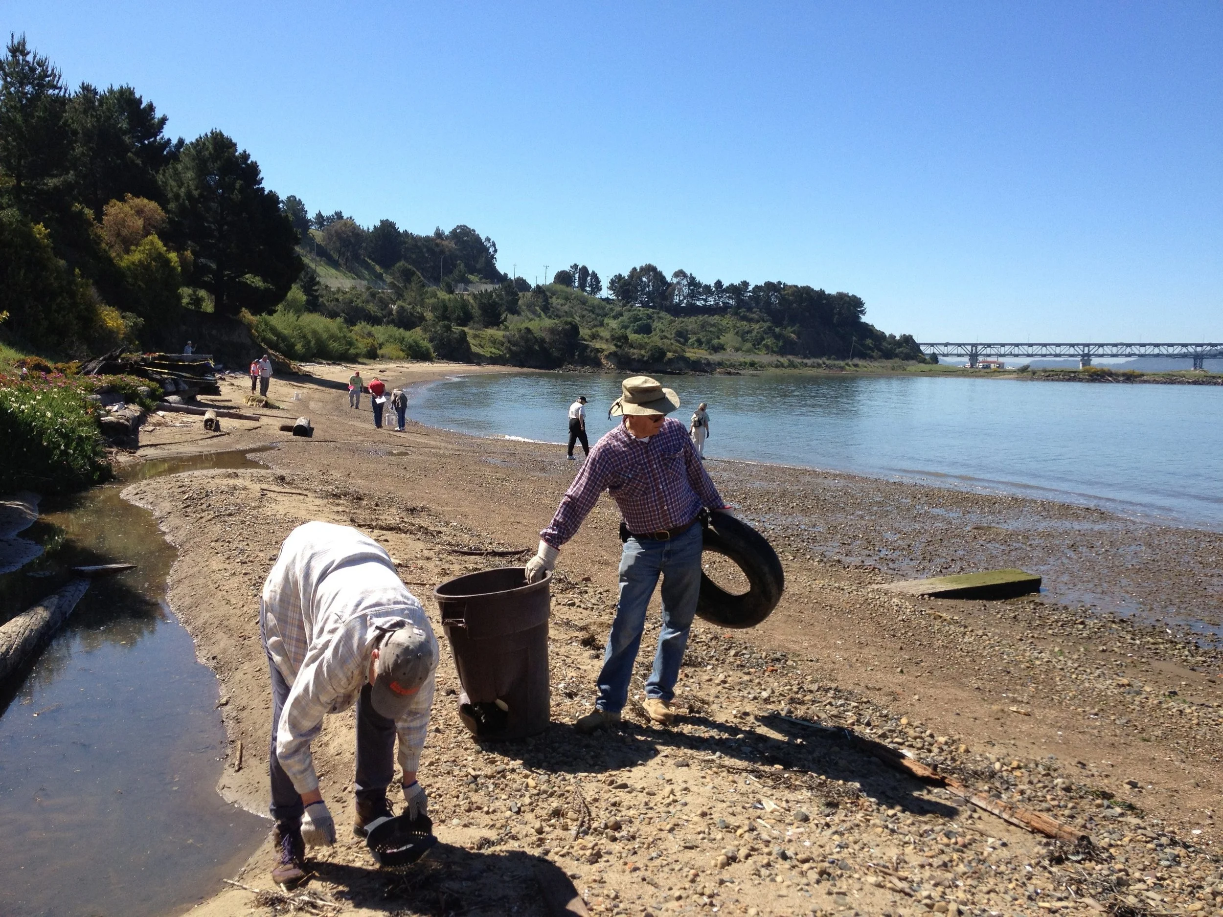 People on a beach collecting rocks and driftwood, with trees on a hillside and a bridge in the distance under a clear blue sky.