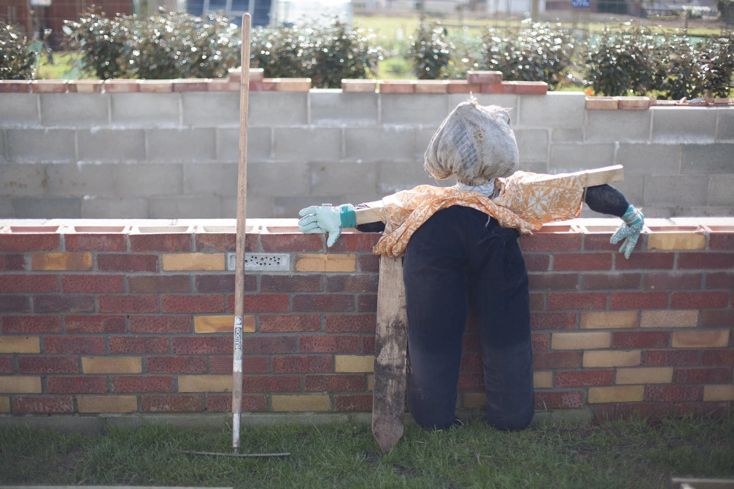 Orchard_210218_sb39.jpg