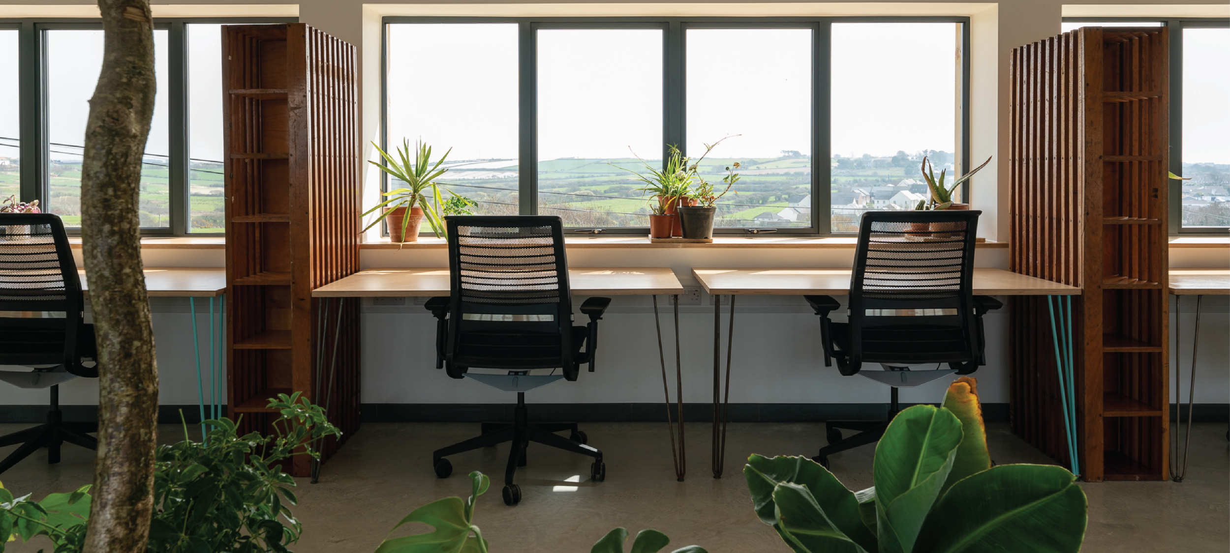 Co-Workspace at Newquay Orchard.png