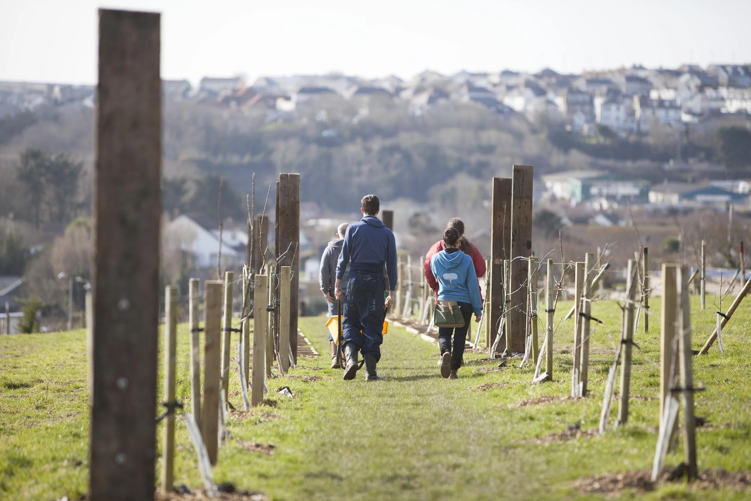 Orchard_210218_sb18.jpg