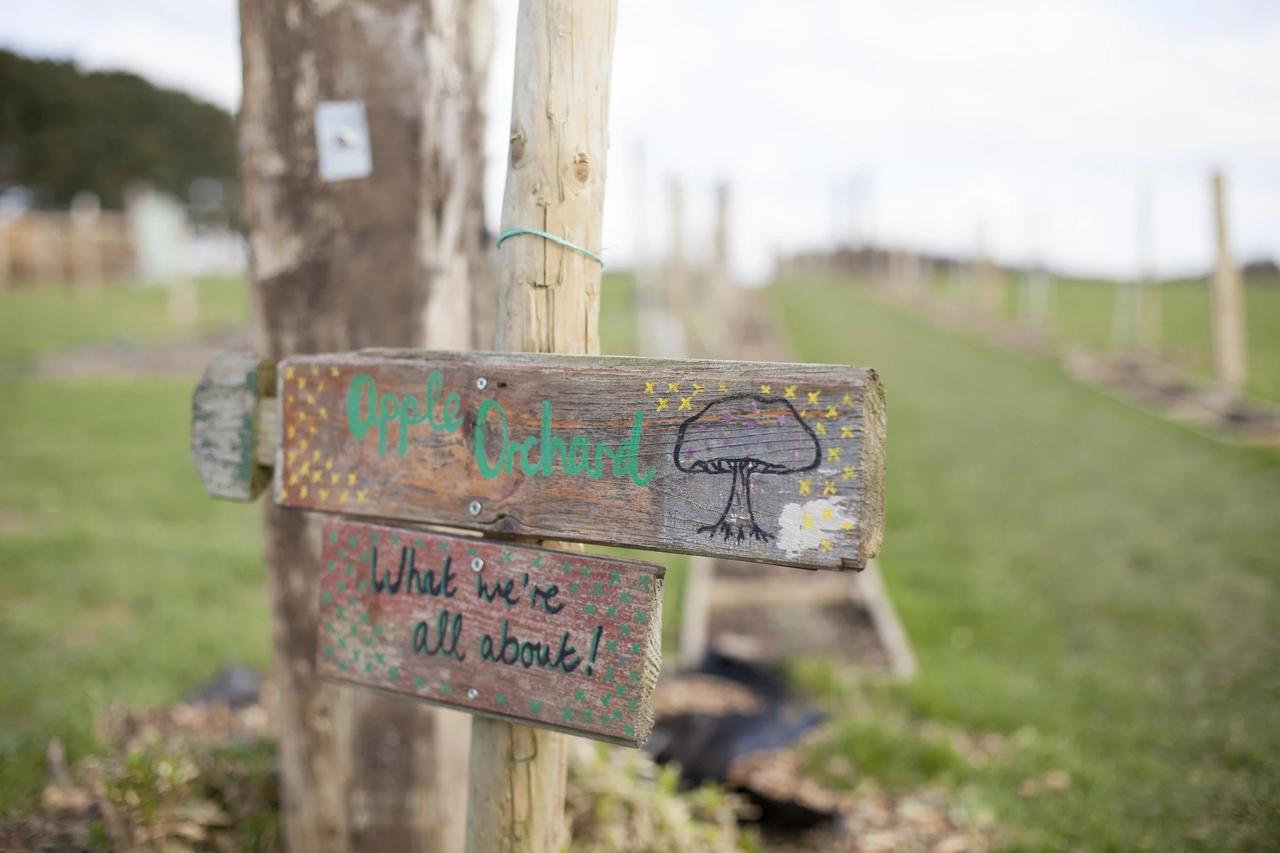 Orchard_210218_sb07.jpg