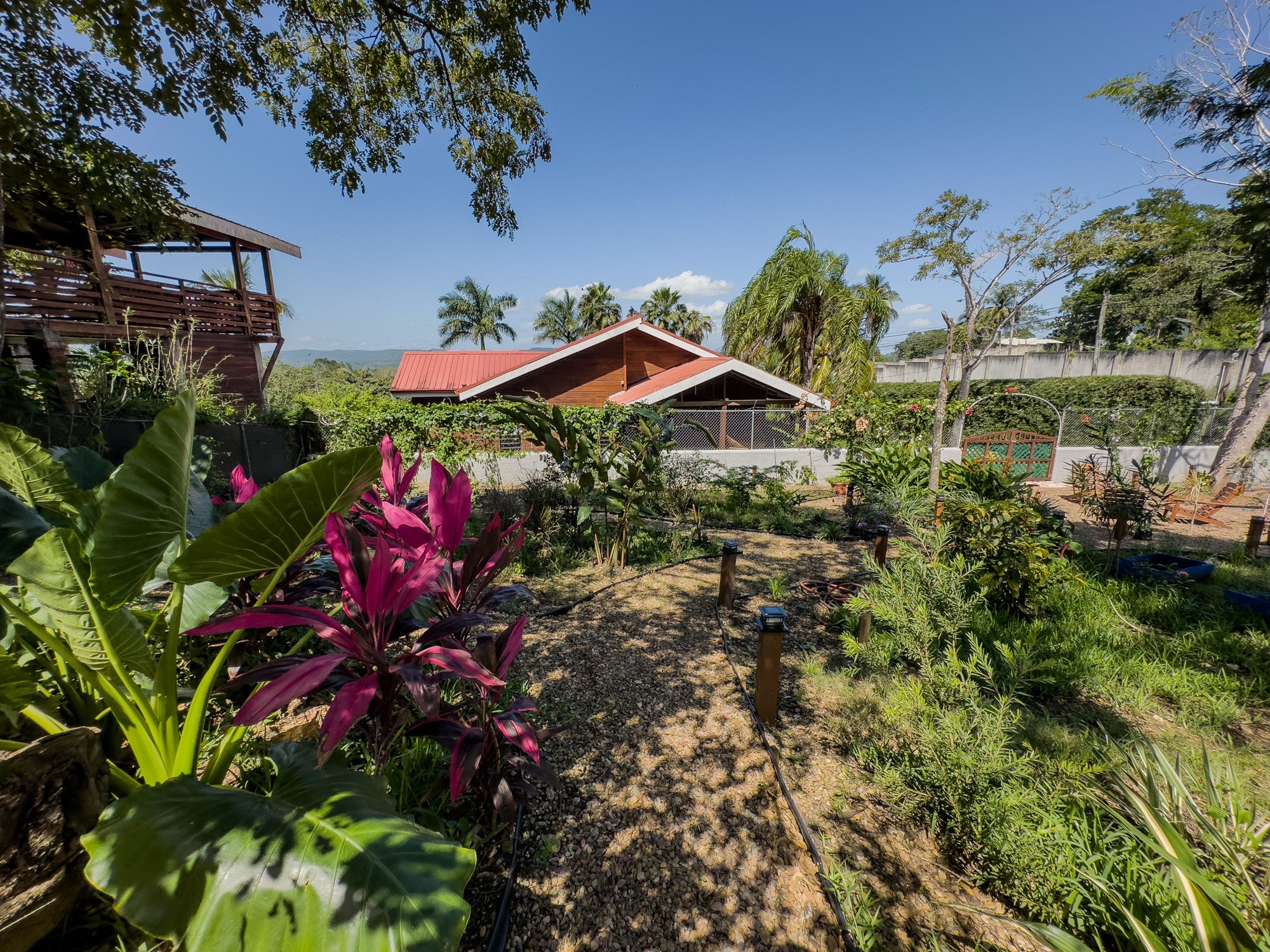Tropical garden at Cayo Mountain View Estate with mature landscaping, flowering plants and pathways surrounding the residence.